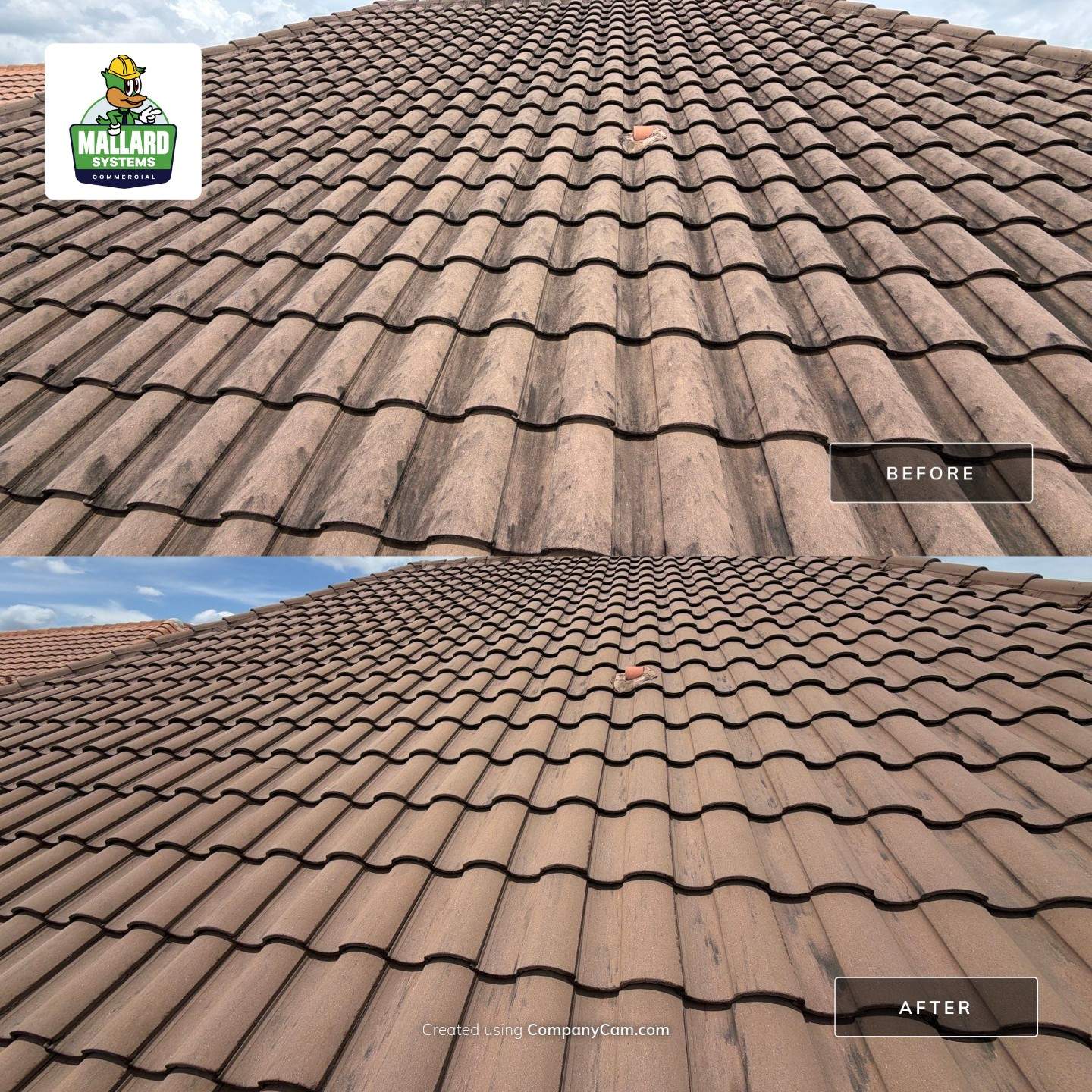 Roof Cleaning by Mallard Systems