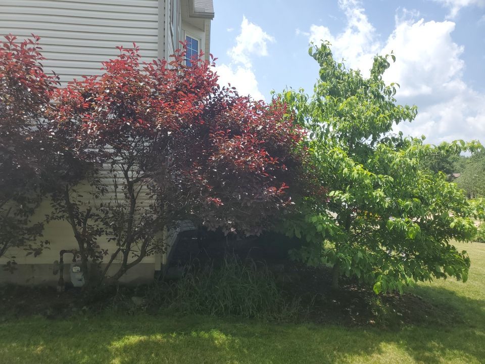 Tree Removal using Tree Removal by Mike Jones & Sons Tree Service LLC 