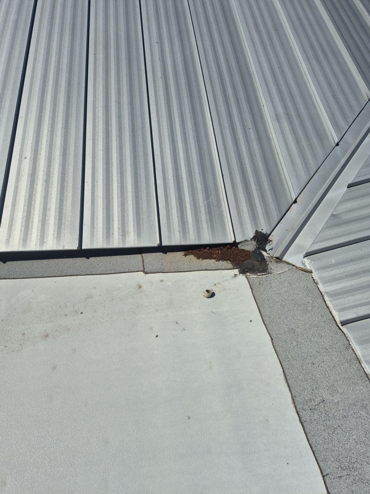 Project in Largo 33774 by Mitchell Roofing Company LLC 