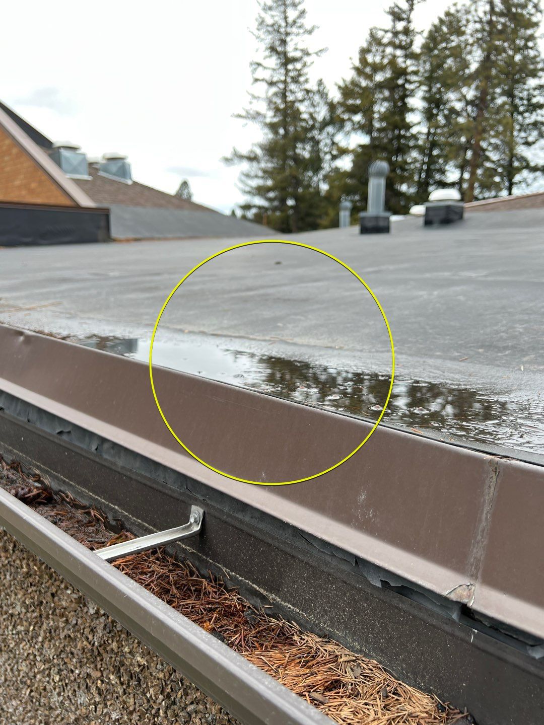 GAF Timberline HDZ - Charcoal by Montana Roofing Solutions