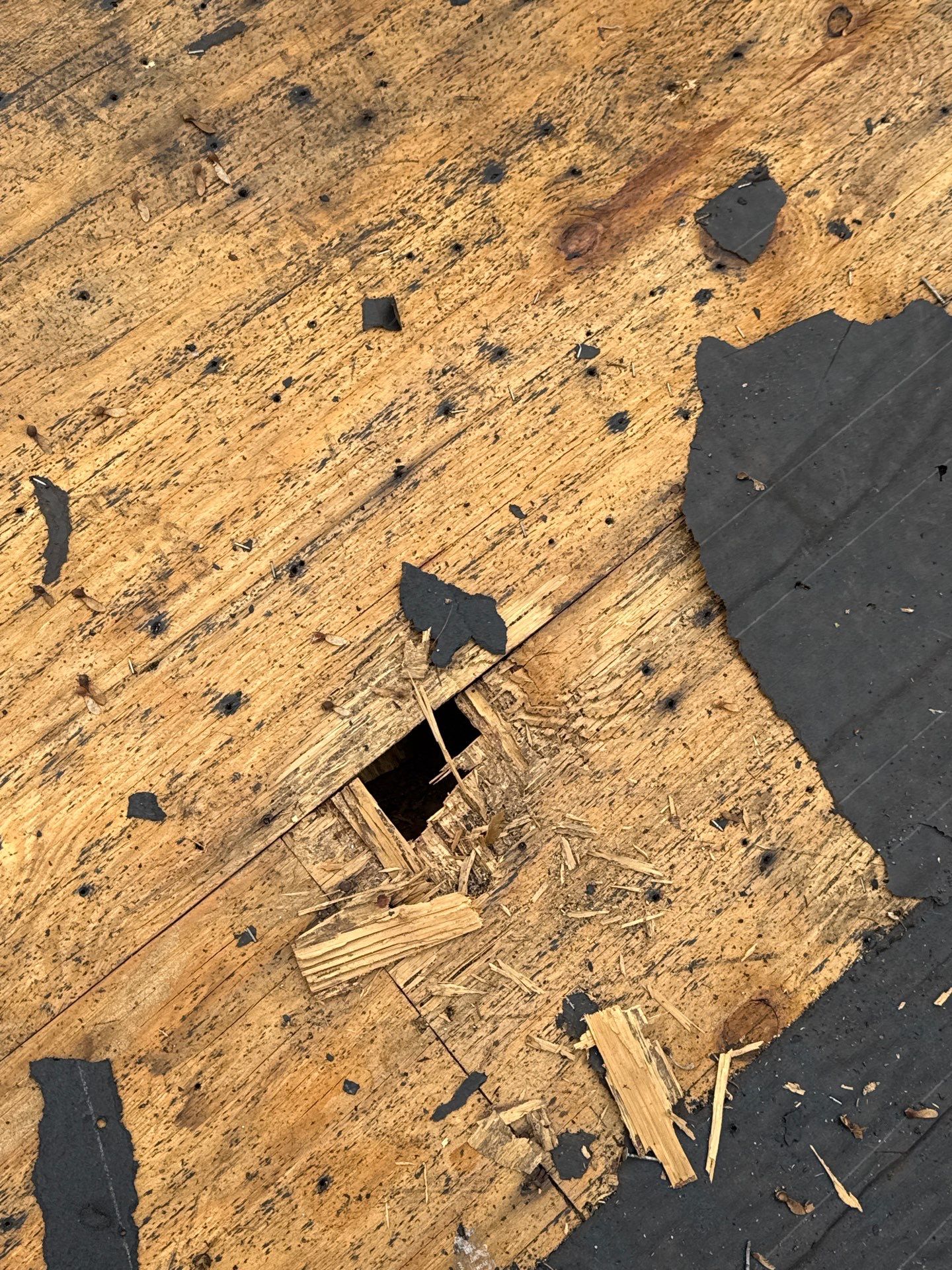 Faifax : Residential Roof Replacement with CertainTeed Landmark Pro in Max Def Coastal Blue  by RM Banning, Inc.