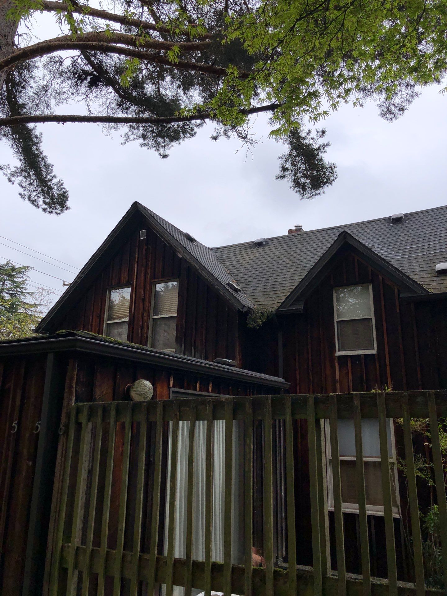 Project in Seattle by Peaks and Valleys Construction