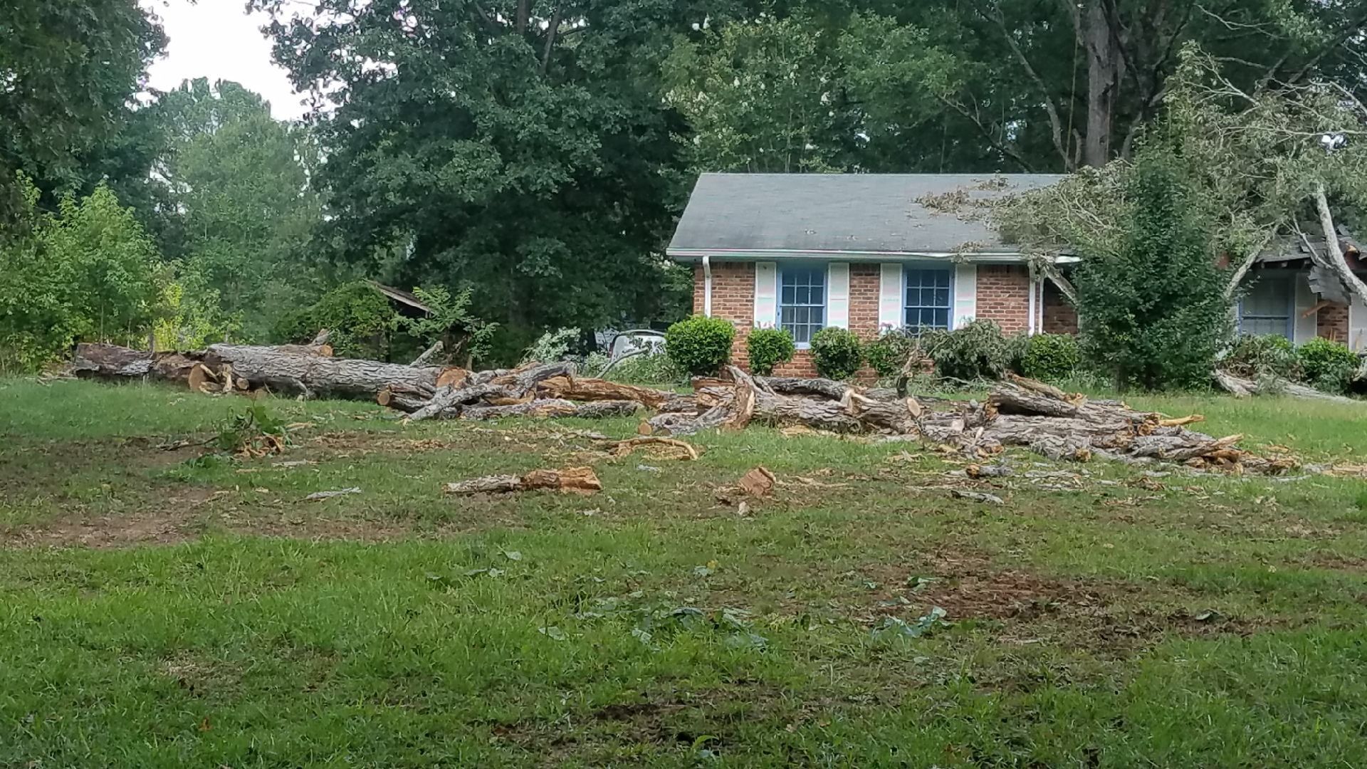 Emergency Tree Damage Restoration & Full Roof Replacement | Metro Atlanta, GA by Mosaic Roofing Company