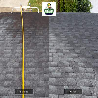 Shingle Roof Cleaning in Celebration