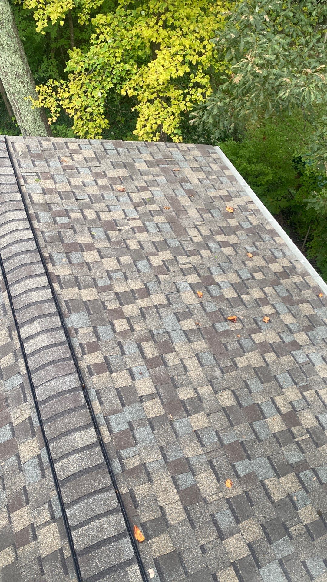 Springfield : Residential Roof Replacement with CertainTeed Landmark Pro in Max Weathered Wood  by RM Banning, Inc.