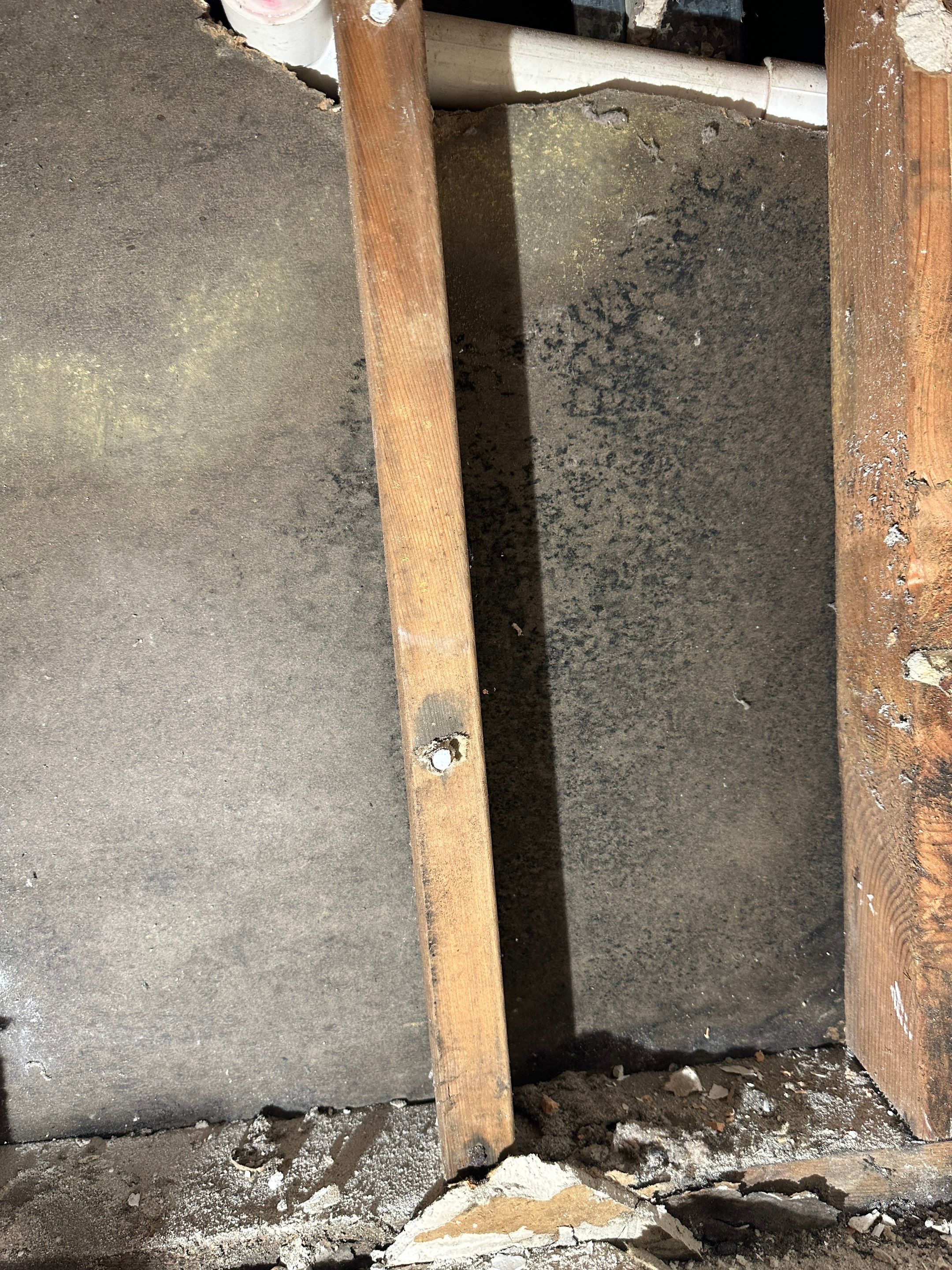 Basement Mold Remediation by Home Guarantee, LLC
