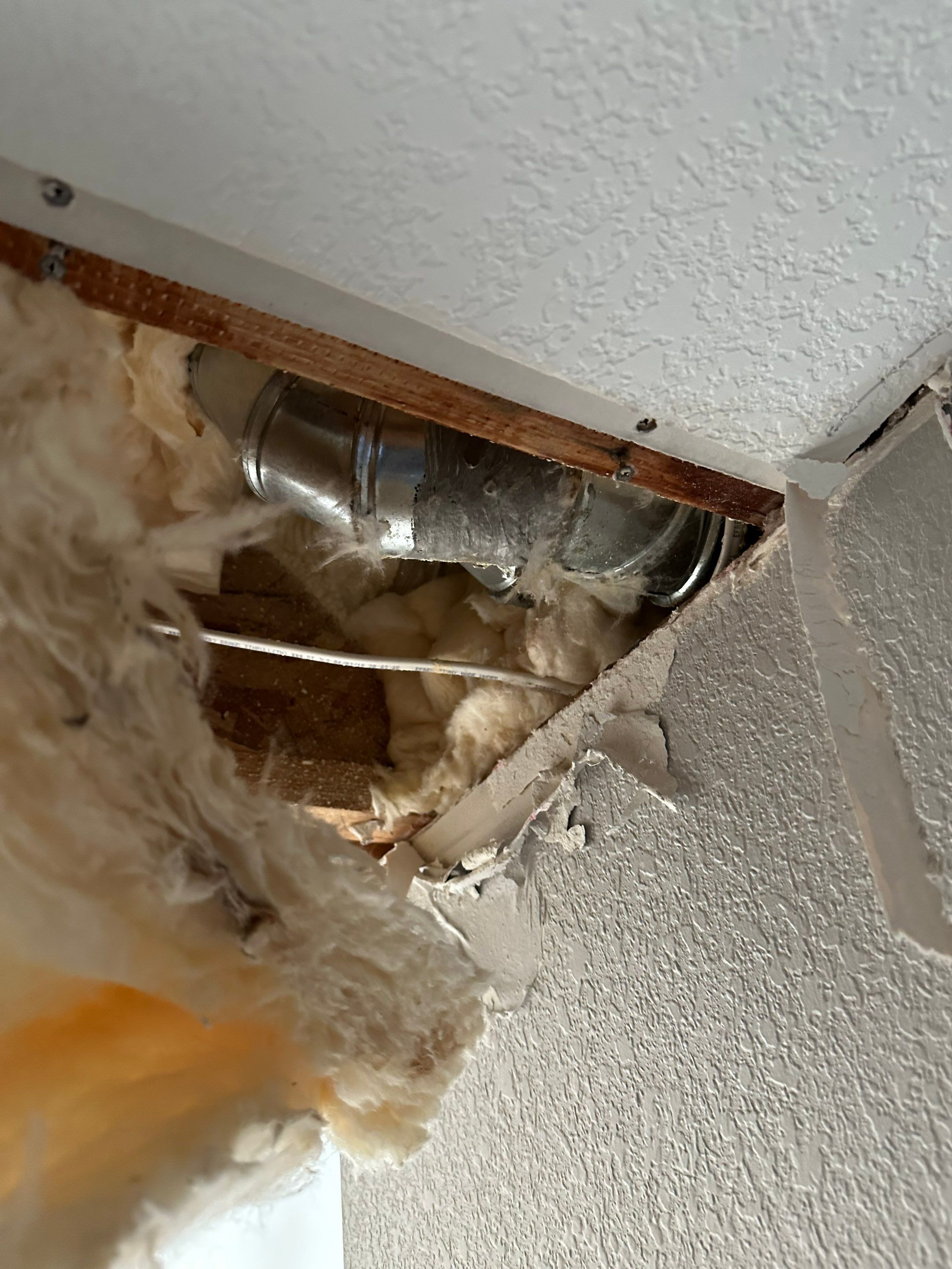 Mold Remediation in Denver, CO by Alpha Restoration 