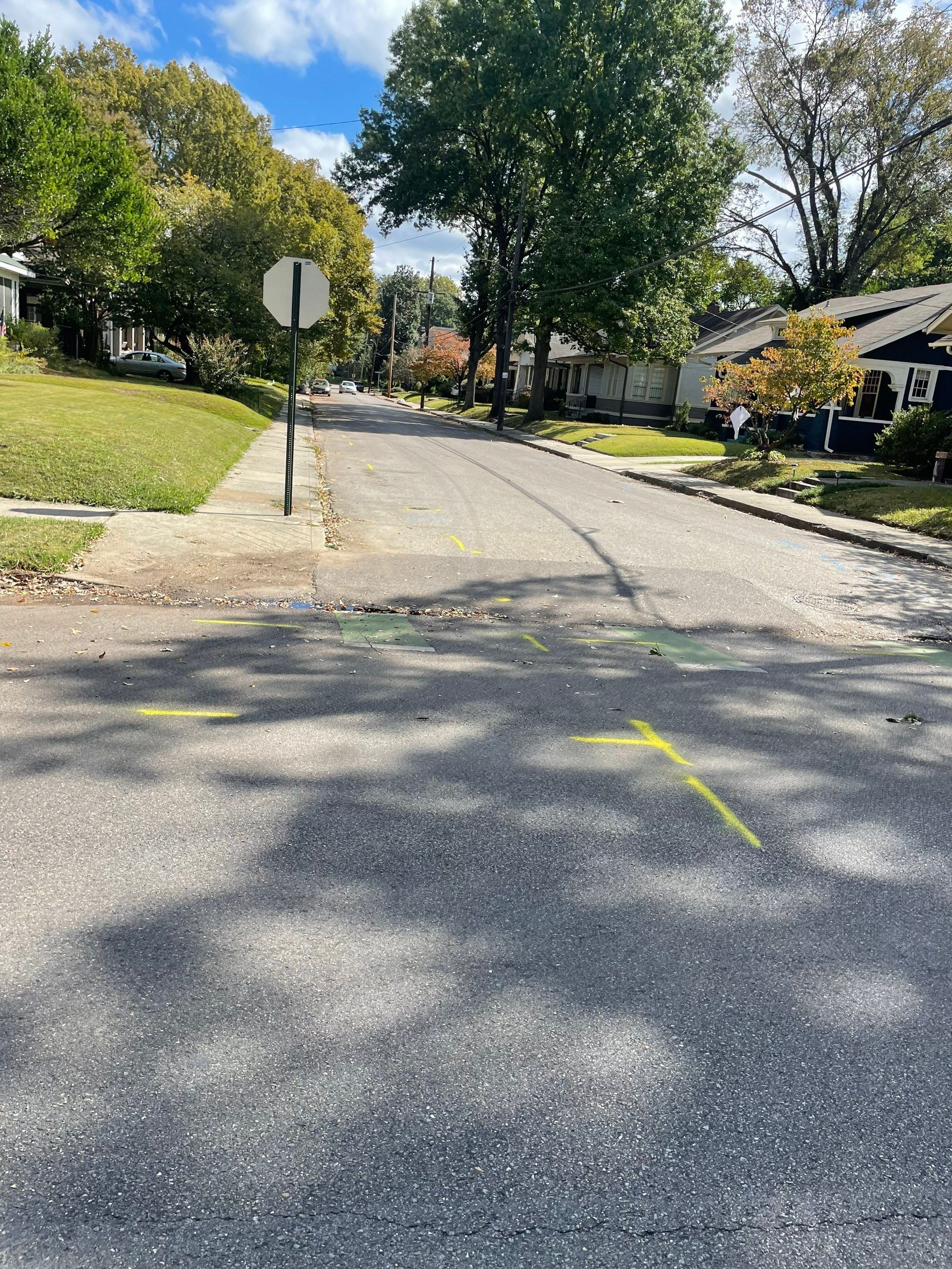 Utility Locate for Survey Purposes by Alsip Locating Service, LLC