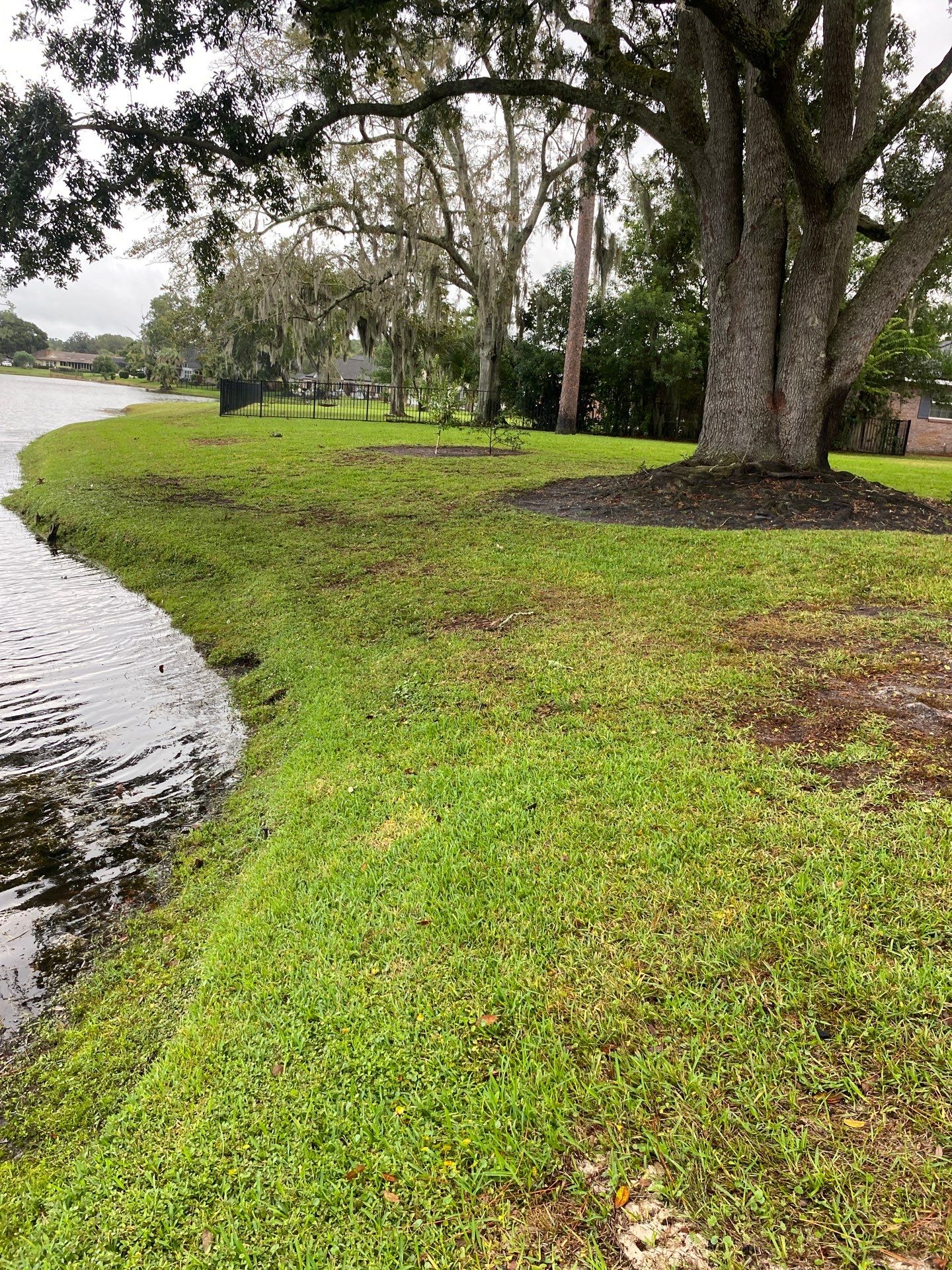 Deerwood Resident | Sod Replacement by ProGreen Services