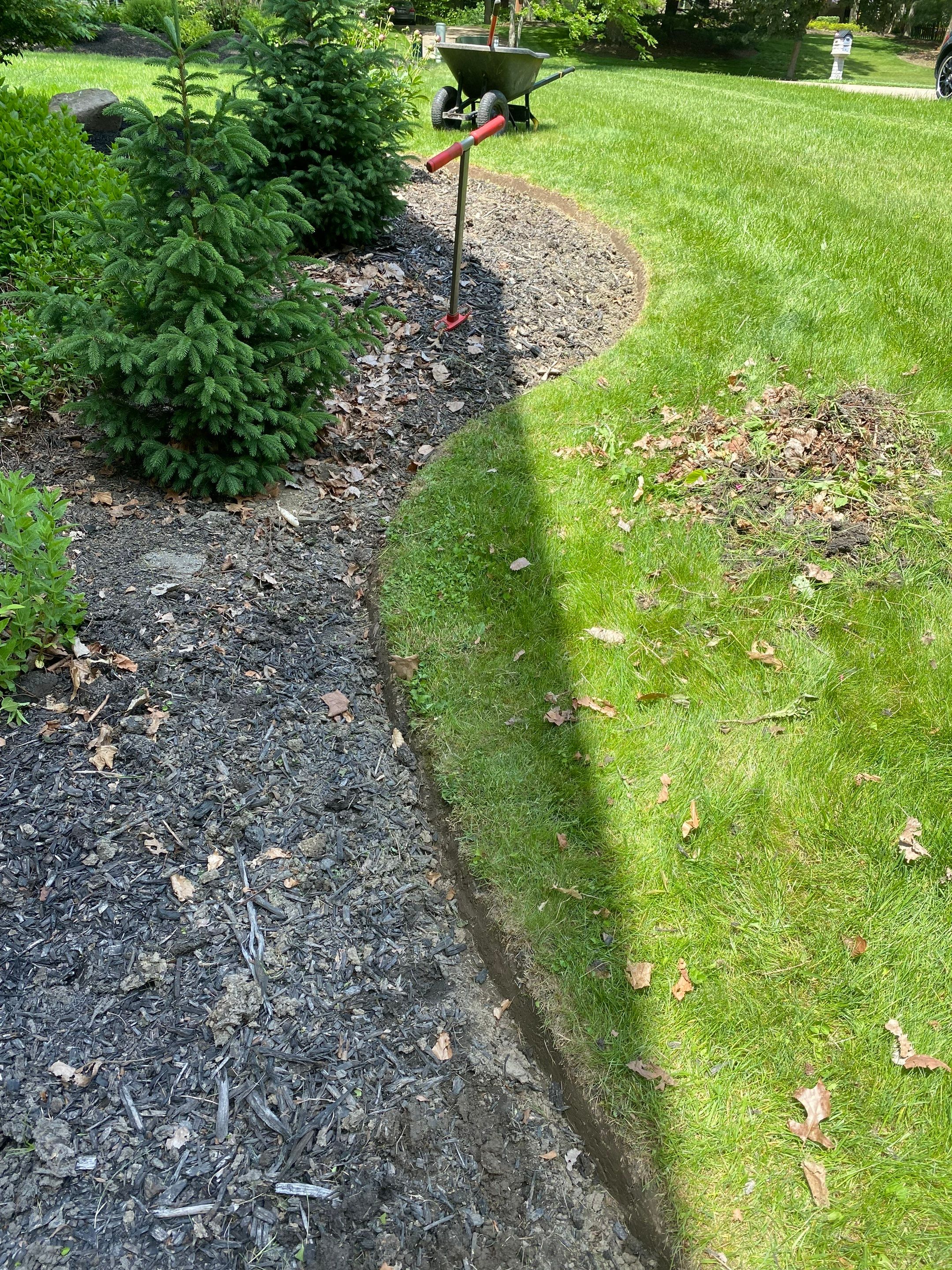 Curved Edge Maintenance by Elm Rose Gardens