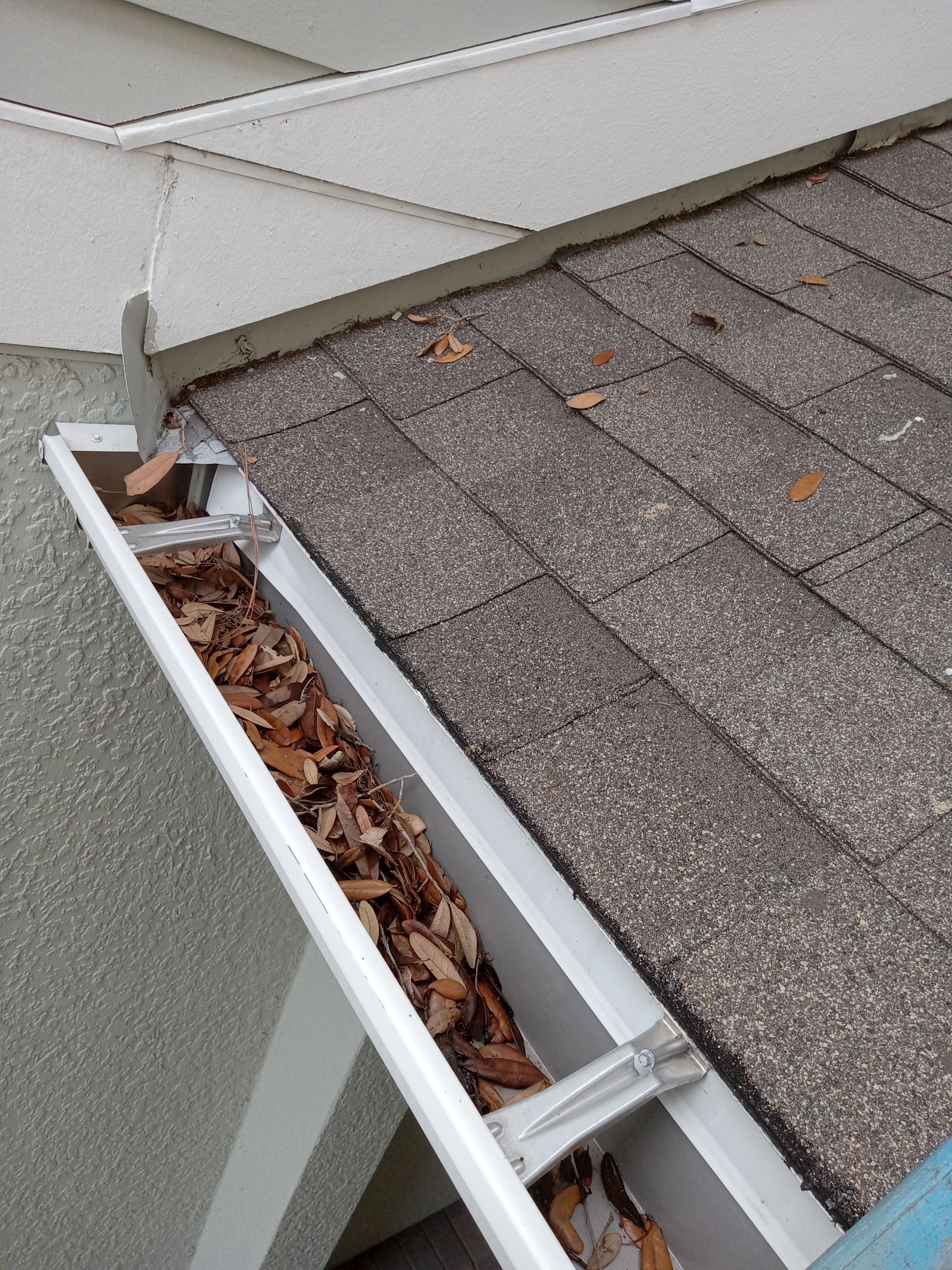 Commercial gutter cleaning Sanford & Lake Mary, FL before photo with filled gutters