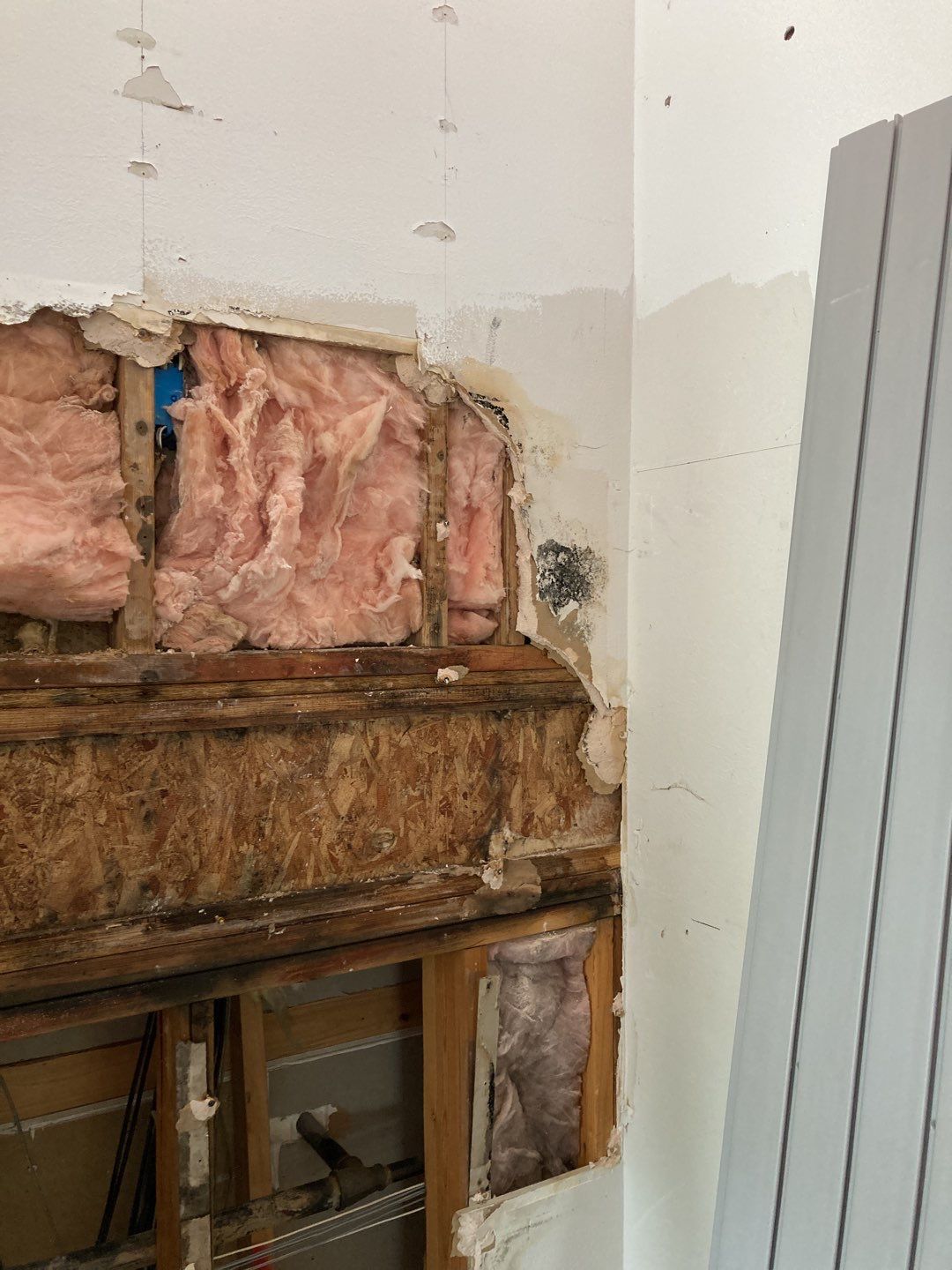 Mold Remediation using Containment by Accountable Home Services