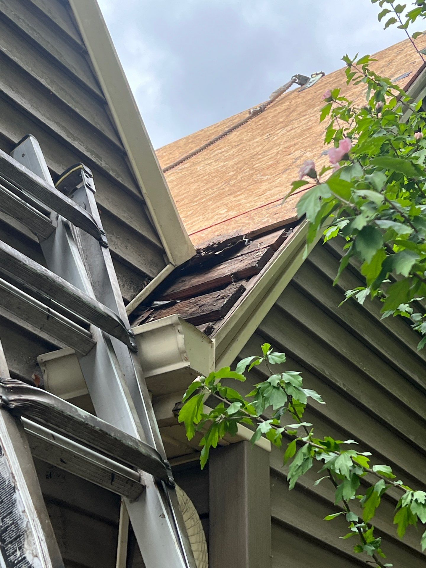 Project in Portland by Tom Leach Roofing