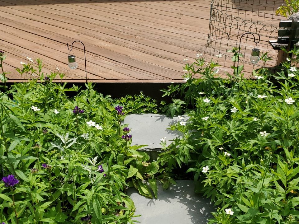 wood deck cleaning, and staining by Northern Power Washing LLC.