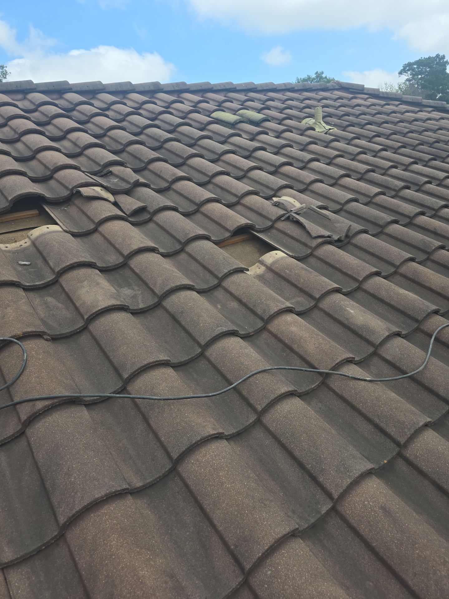 Roof Repair Spring by Roof Repair Company