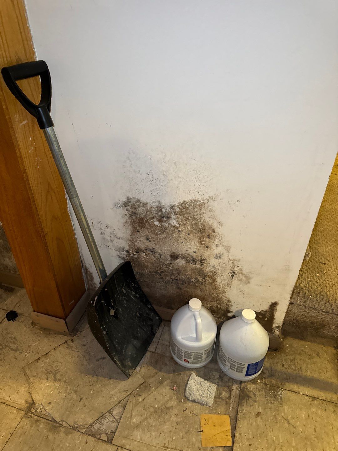 Water pipe break behind a wall by Chicagoland Water Medics