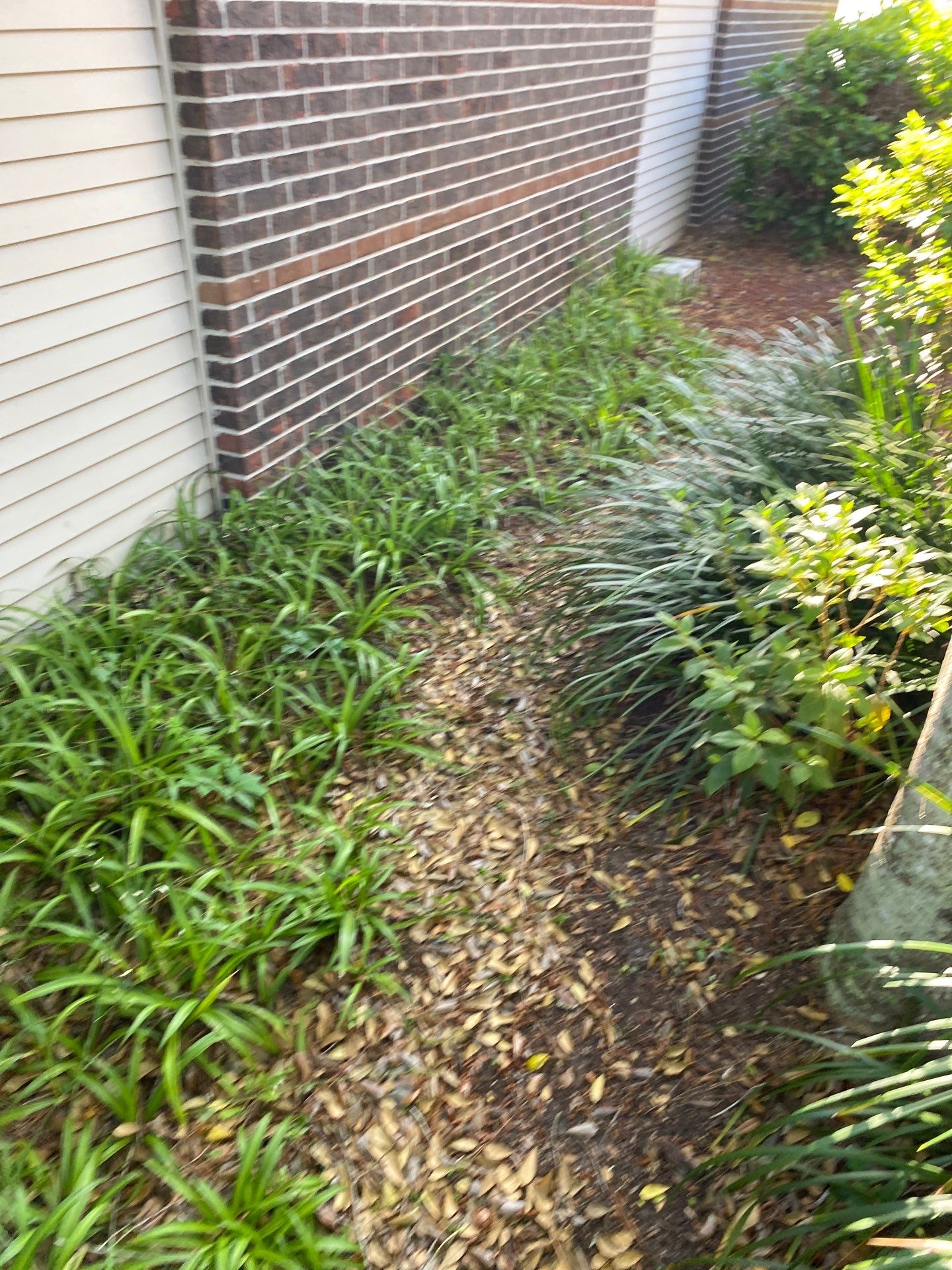Residential | Volunteer Clean-Up by ProGreen Services