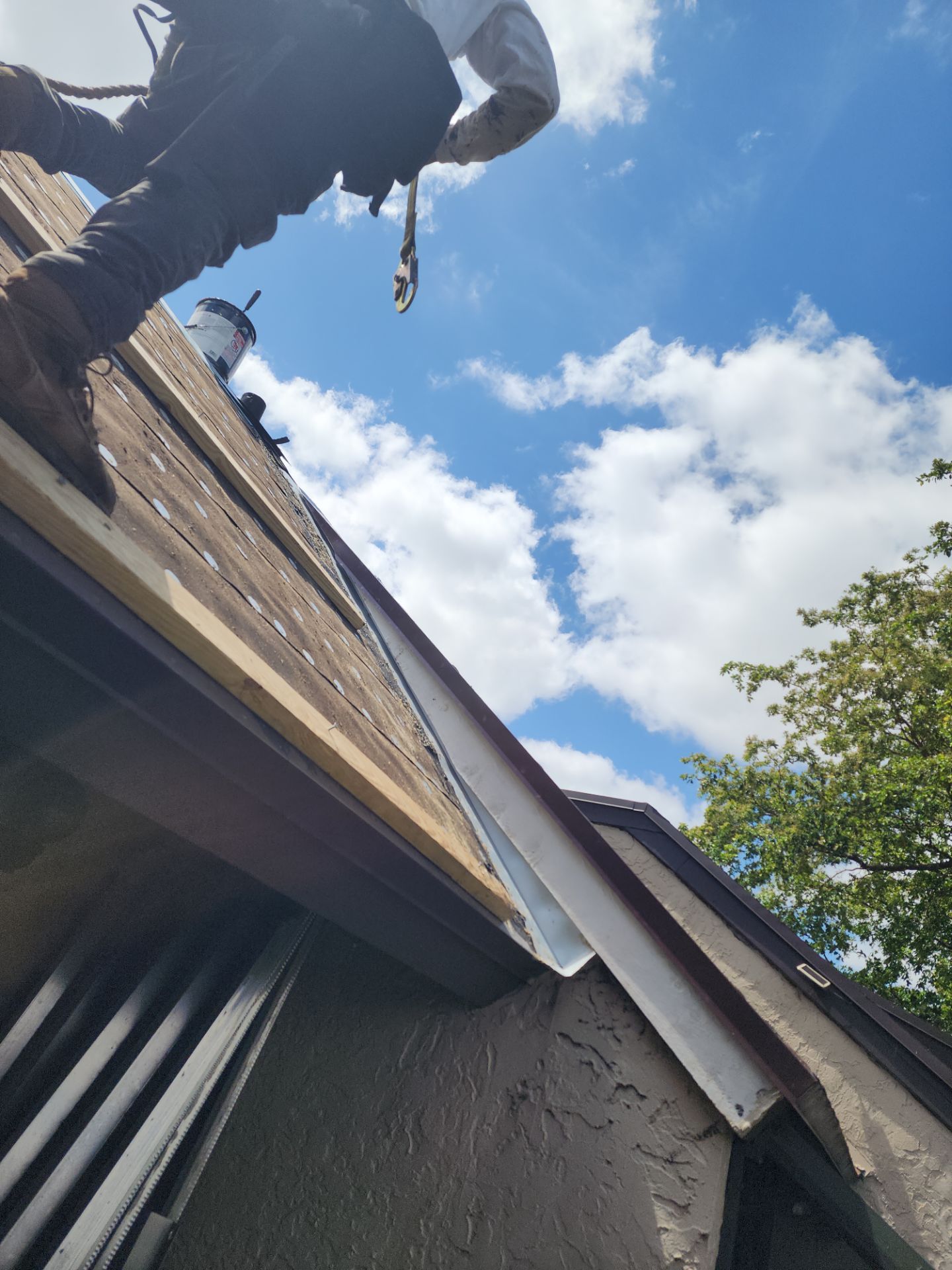 Shingle Roof Replacement and Wood Rot Repair in Pembroke Pines by Aastro Roofing