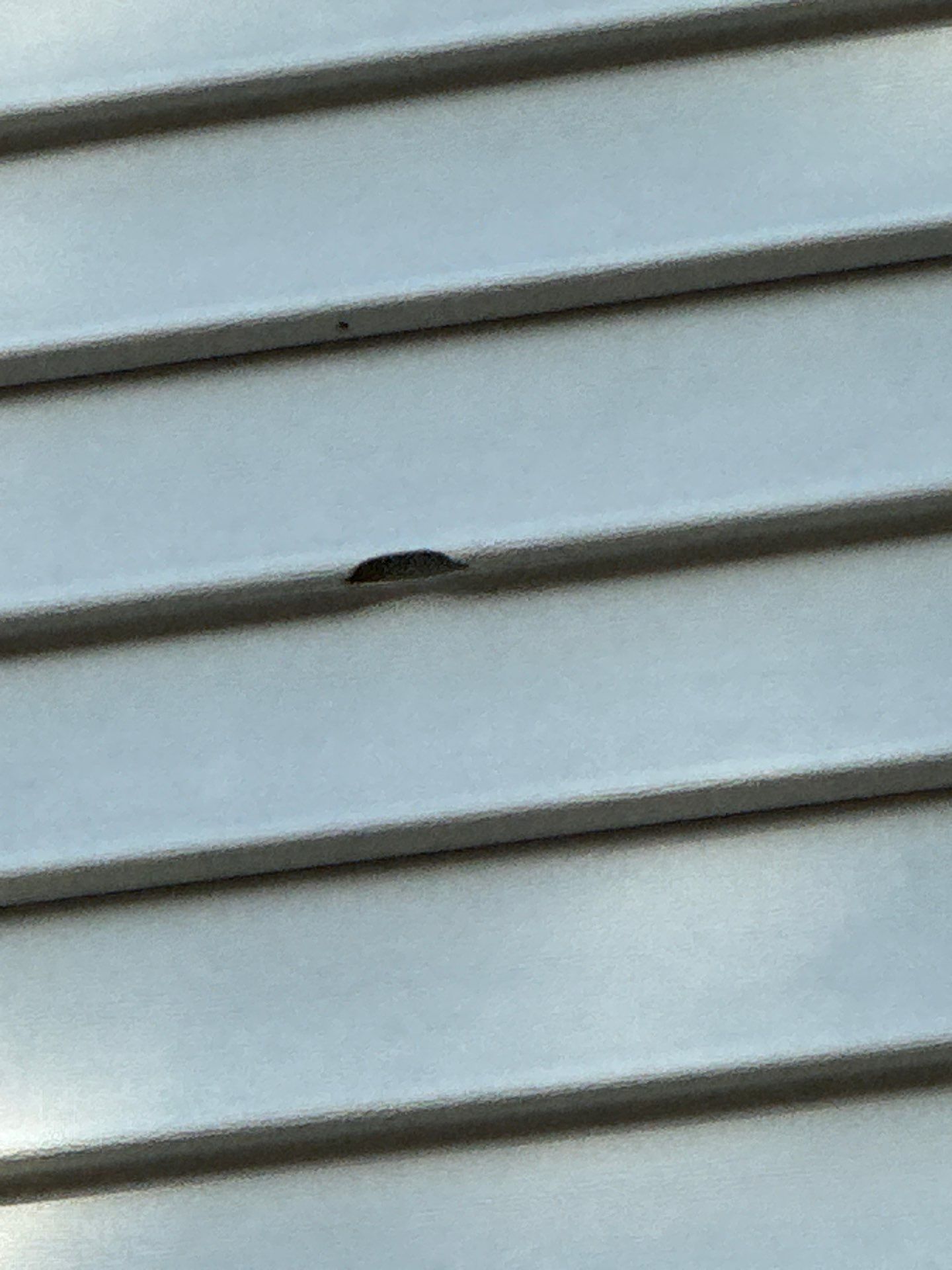 Siding | Waltham by Mighty Dog Roofing of Greater Middlesex County