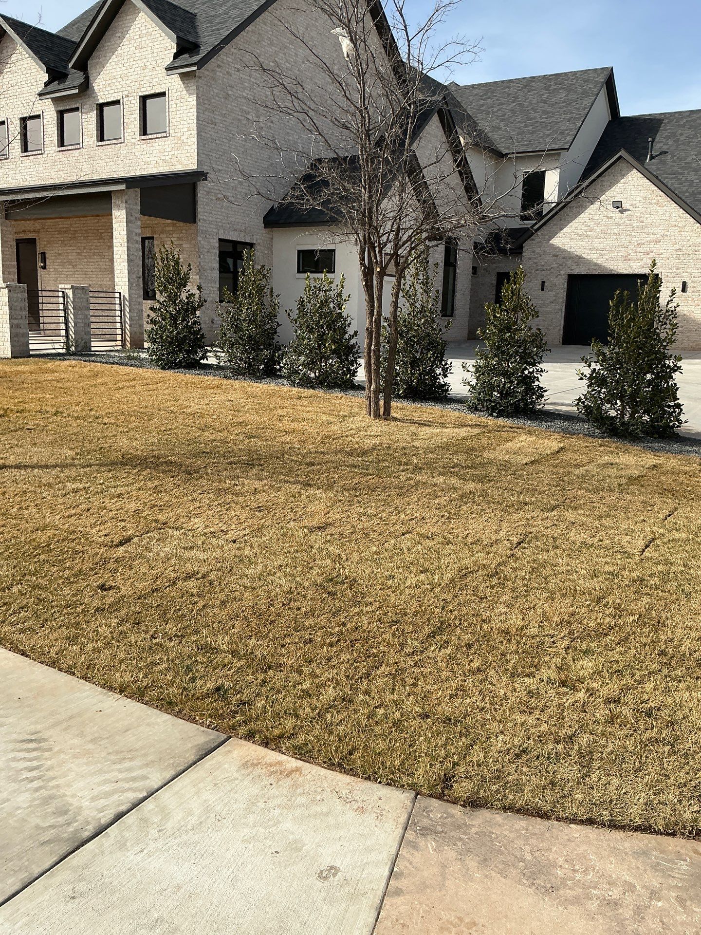 Landscape-Patel by Spanky’s Landscape