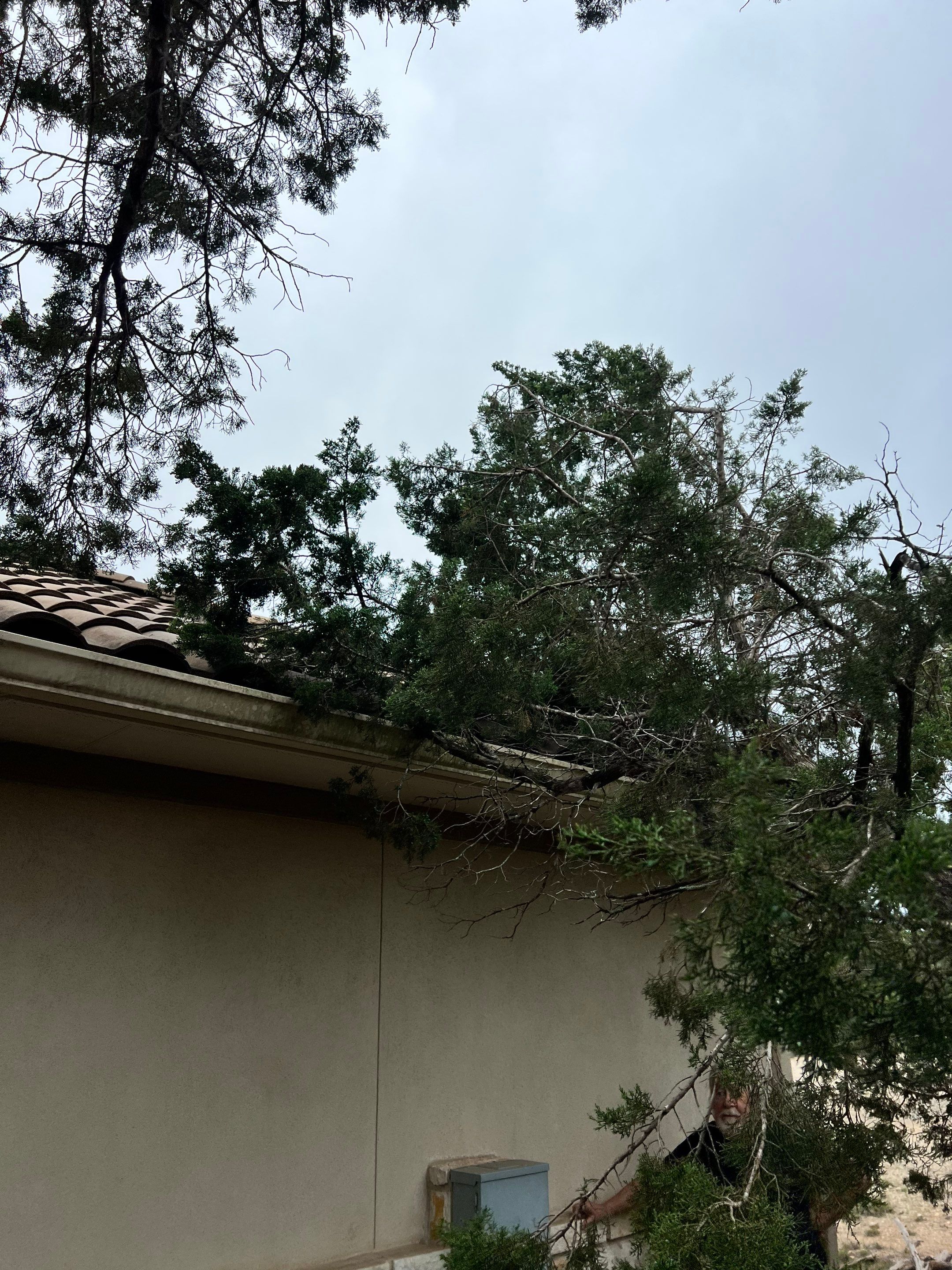 Tile Roof Repair  using Boral Tile by Premier Roofing and Contracting