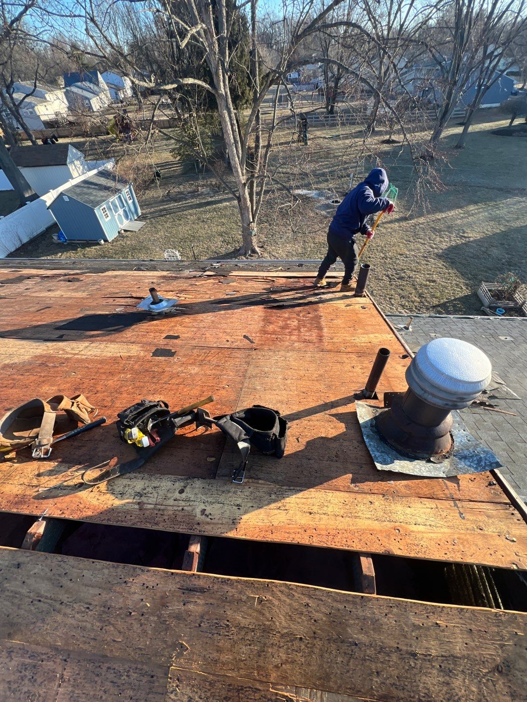 Silver Birch Shingles by Reimagine Roofing