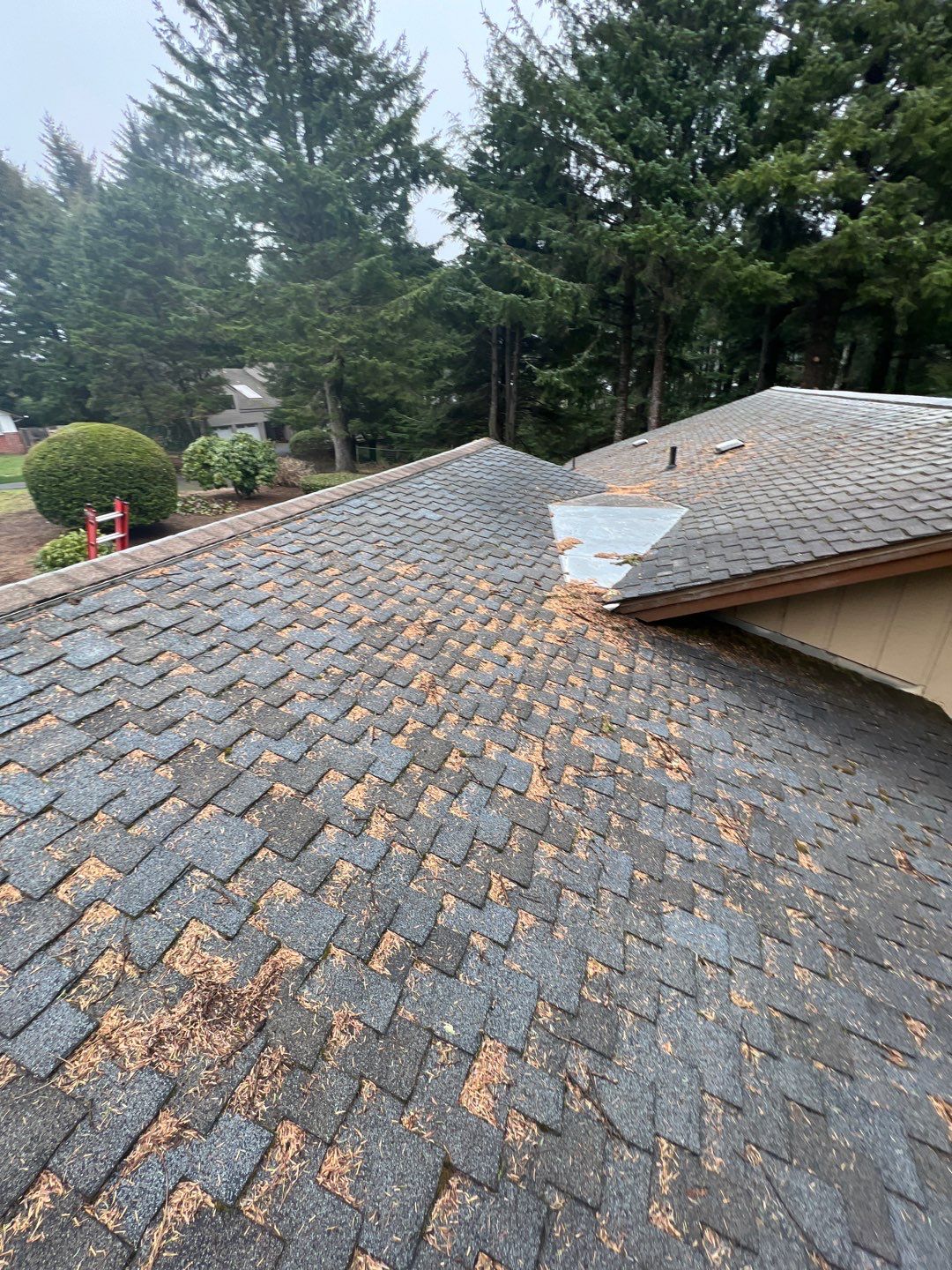 Residential Roofing Installation using Malarkey Highlander with GAF 60mil TPO by Orezona Building & Roofing Company, Inc.