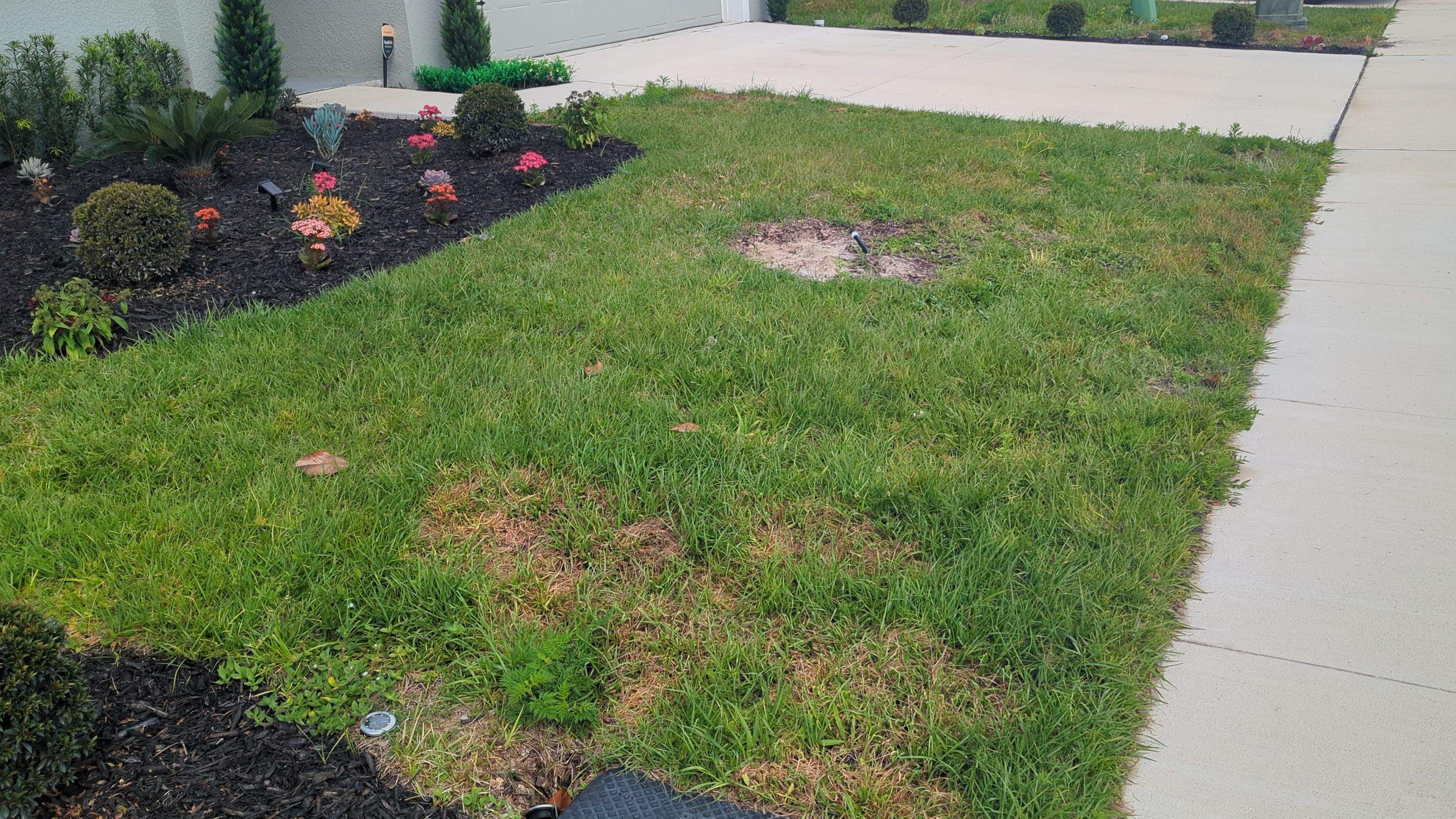 Complete Lawn Restoration with St. Augustine Sod by 
M.A.B. Landscaping & Property Maintenance