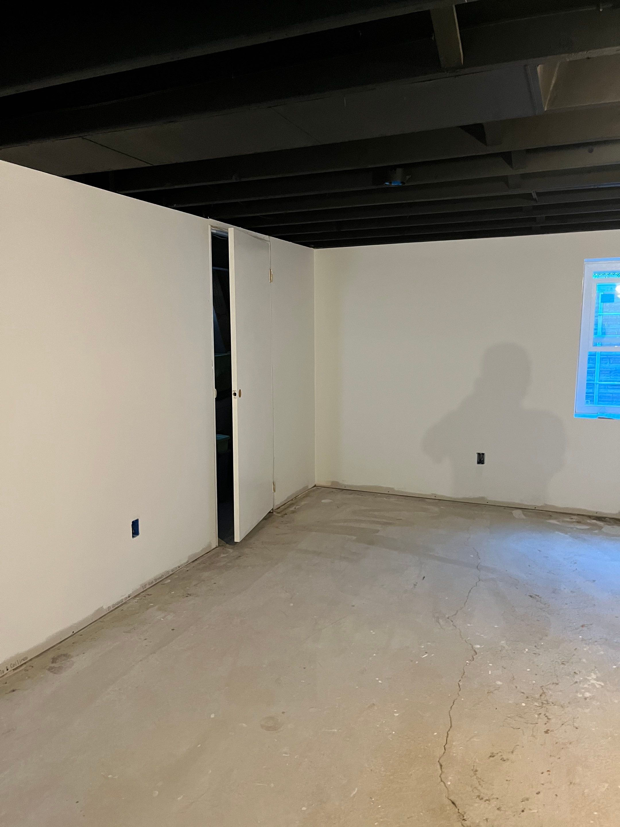 Basement and Bathroom Remodel by Ivy Lea Construction