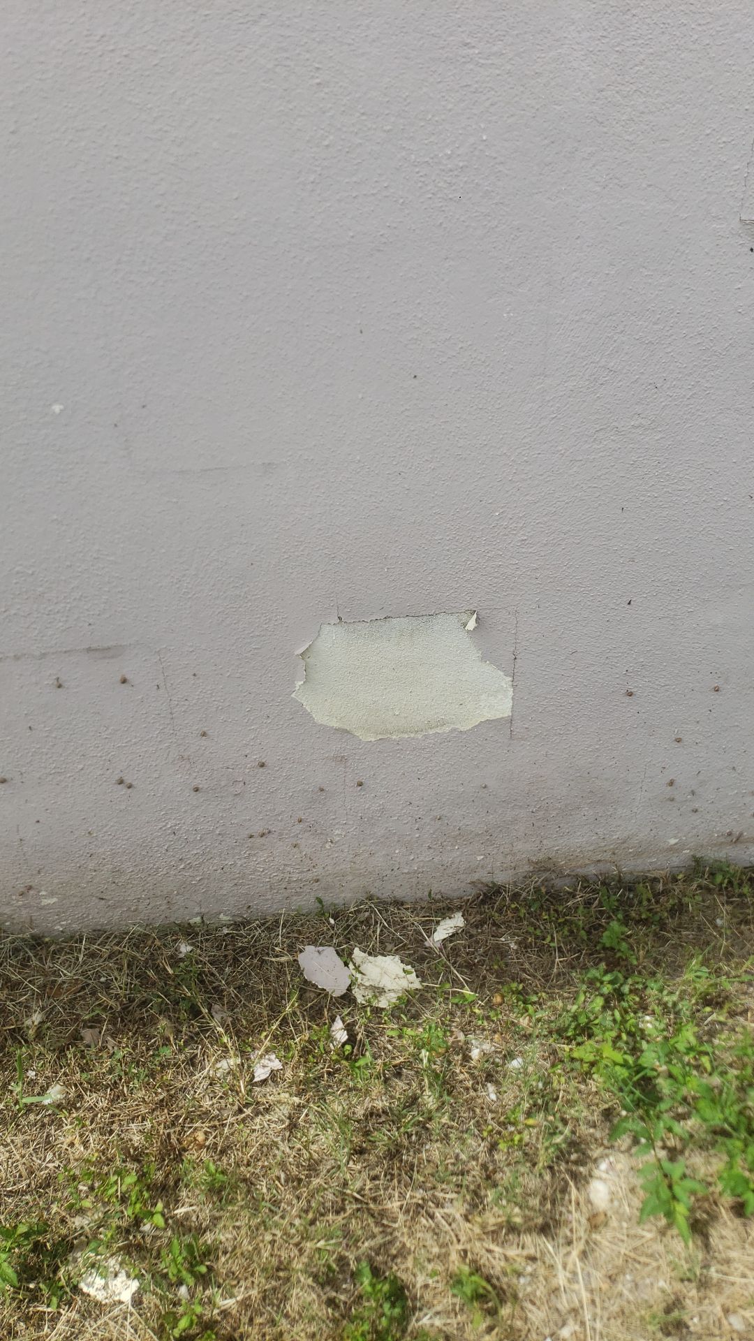 CoolWall Project in Largo by Sunbelt Home Solutions