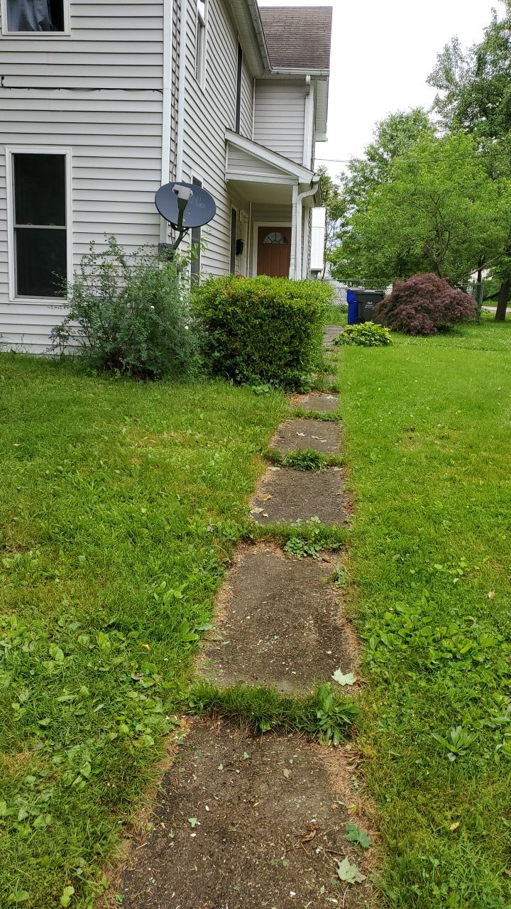 Tree Trimming using Tree Pruing by Mike Jones & Sons Tree Service LLC 