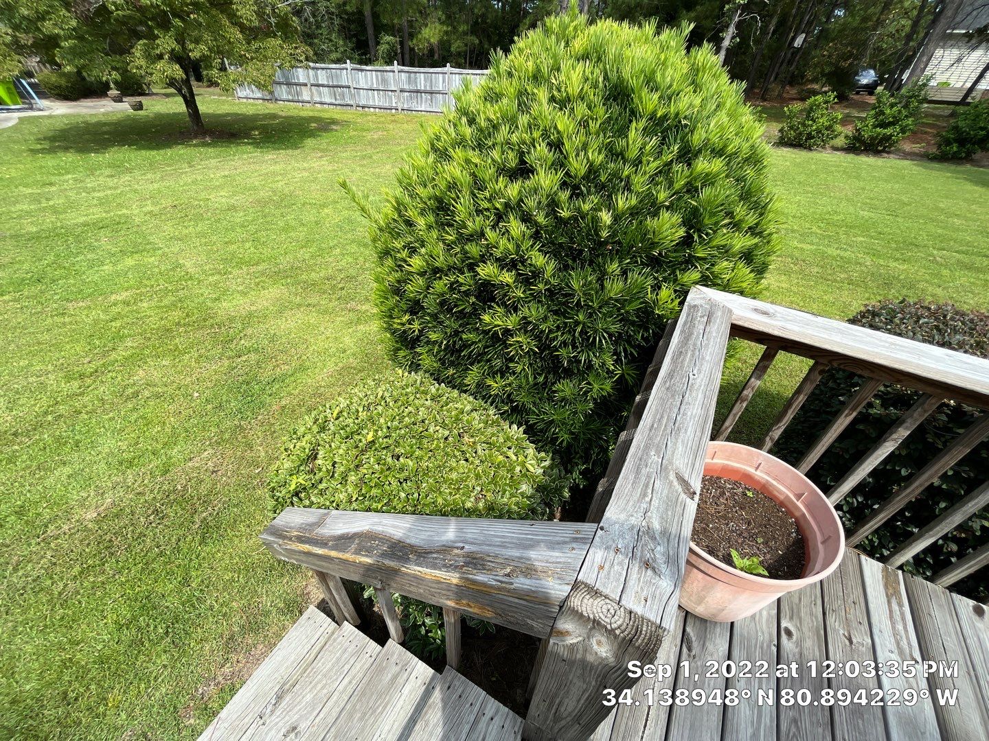 Deck/Steps Replacement by Thompson Industrial