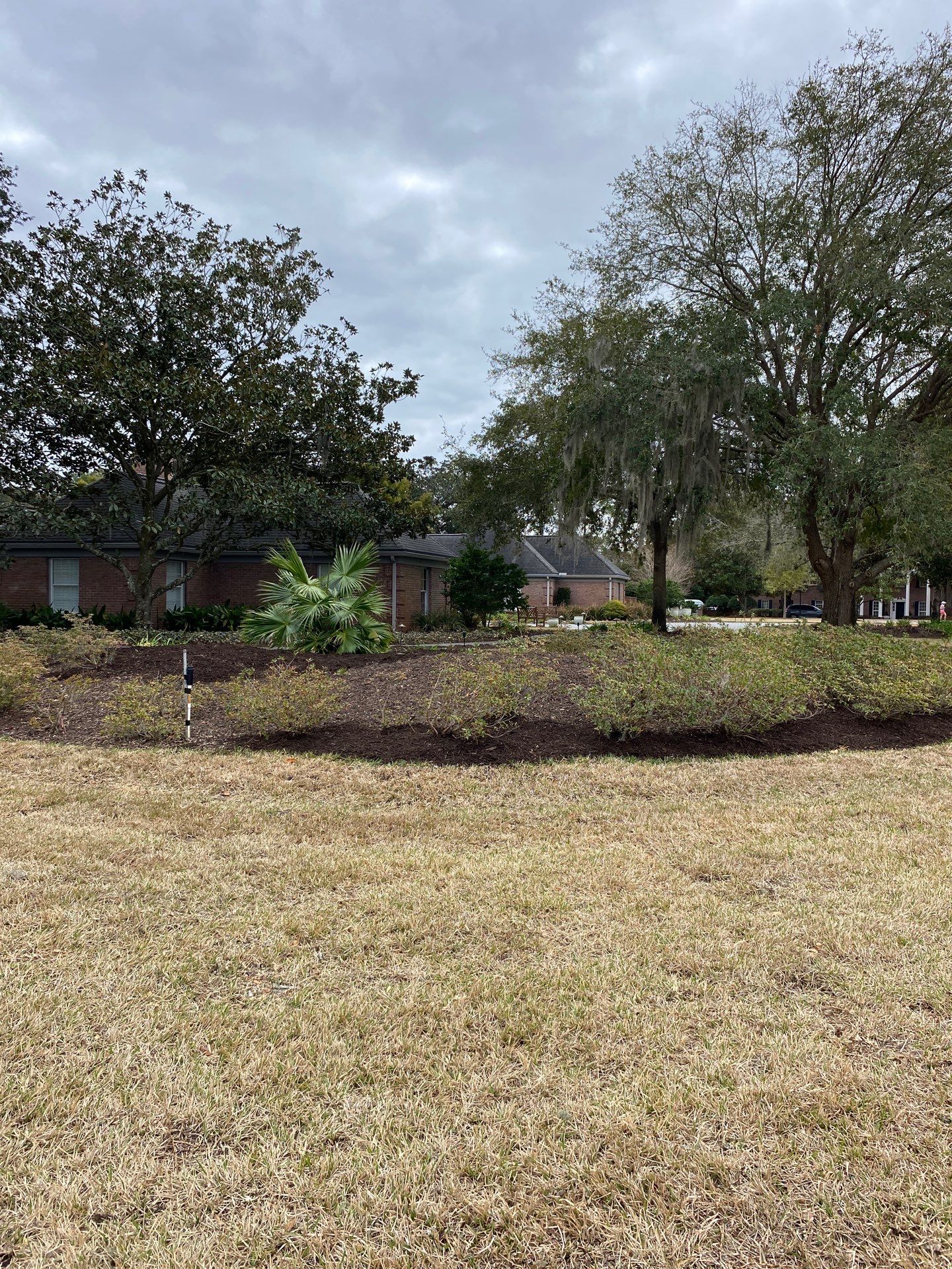 Deerwood Resident | Tree Removal & Mulch Install by ProGreen Services