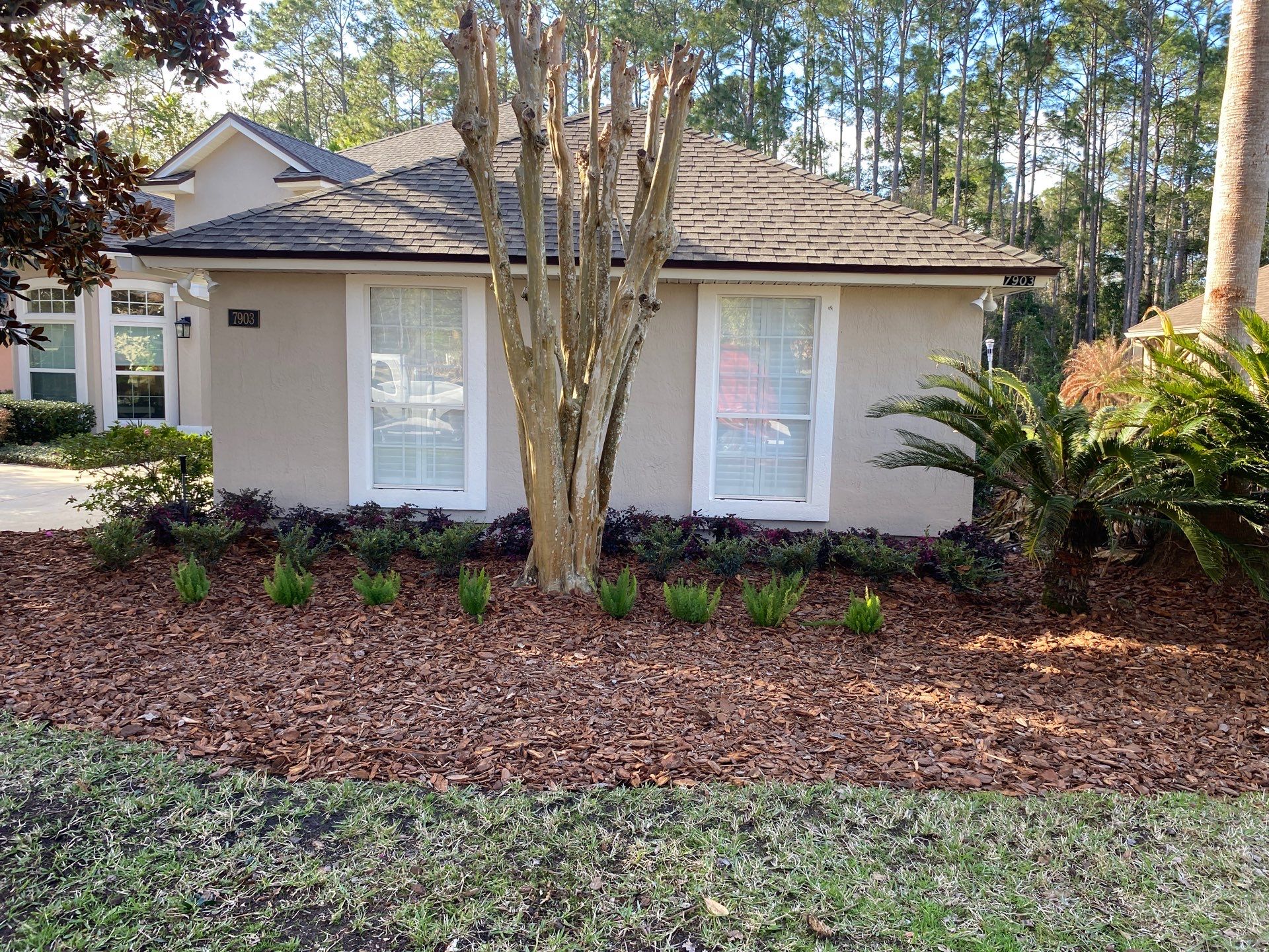 Residential | Landscaping by ProGreen Services