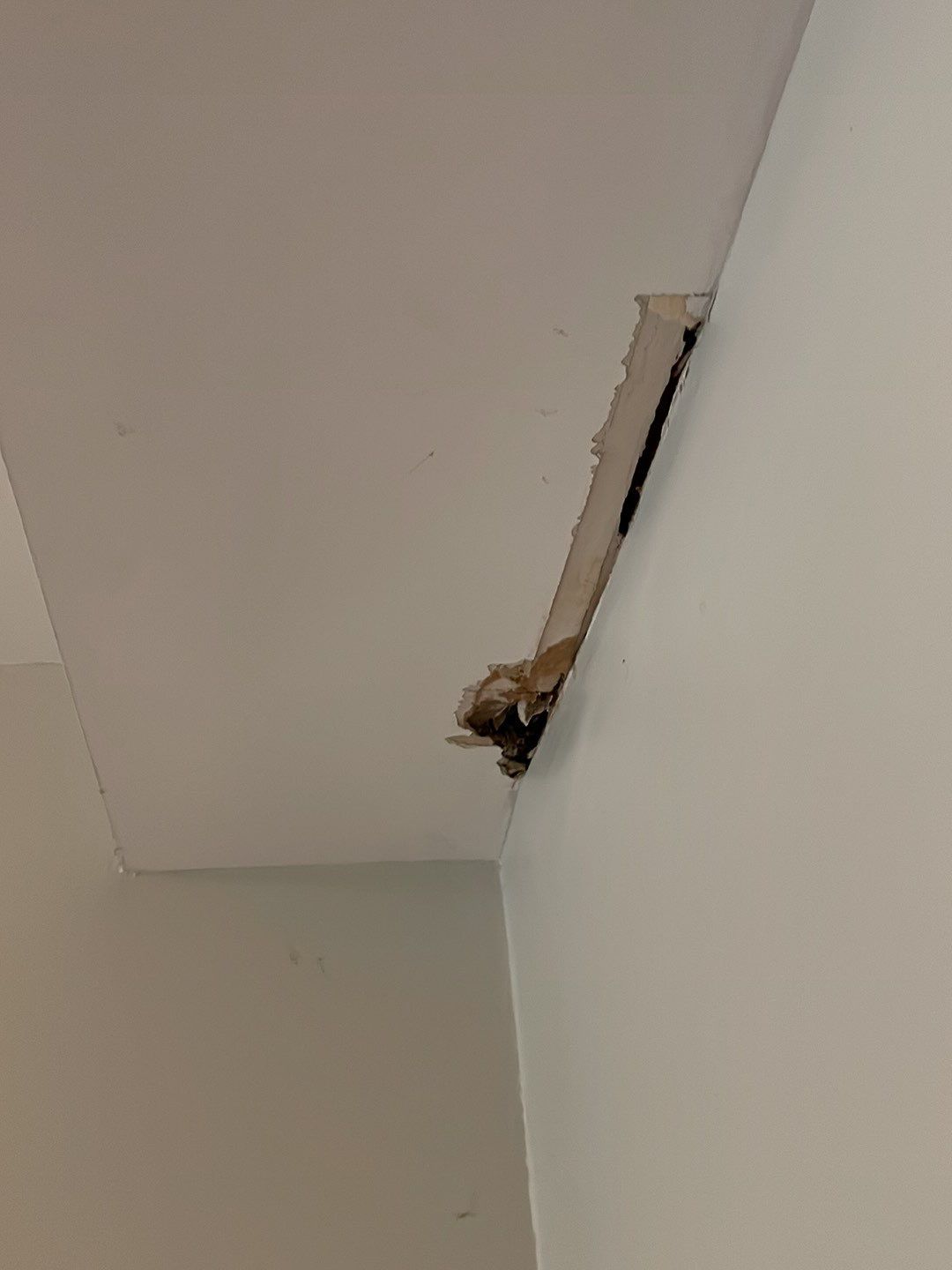Water damage by Eco-Nature Construction Inc.