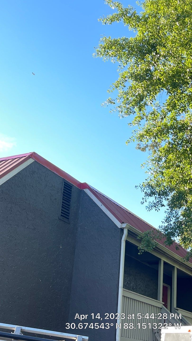 TPO Roof by American Roofing & Construction LLC