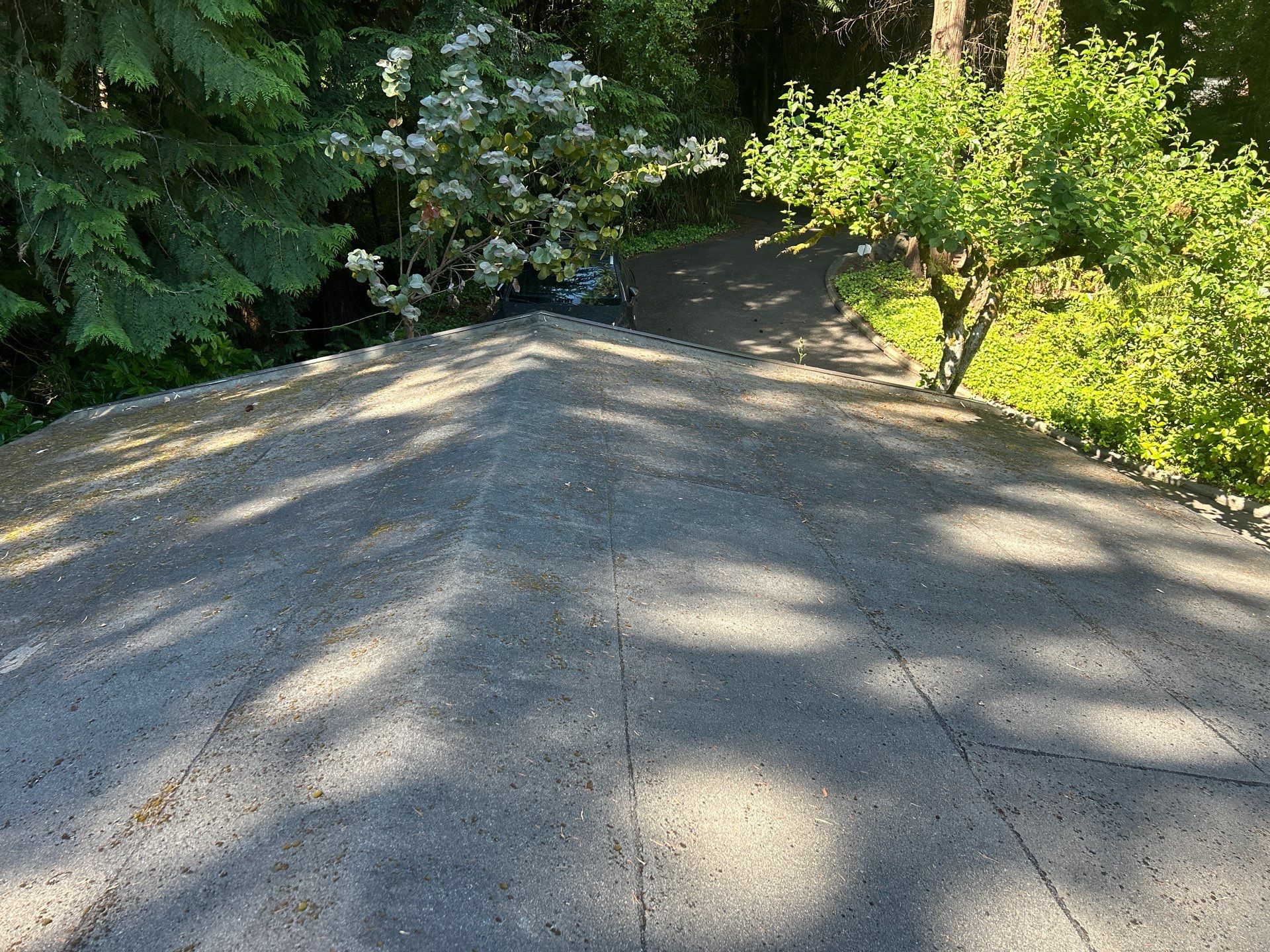 Project in Seattle by Peaks and Valleys Construction