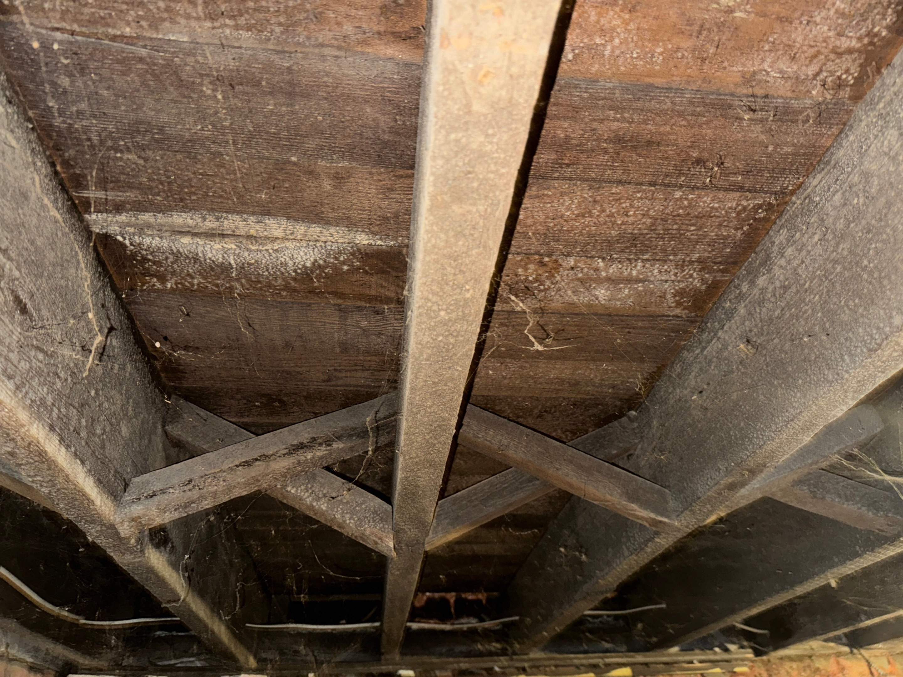 Interior French Drain & Wall Vapor Barrier in Newark, NJ  by Pure Service Pro, LLC 