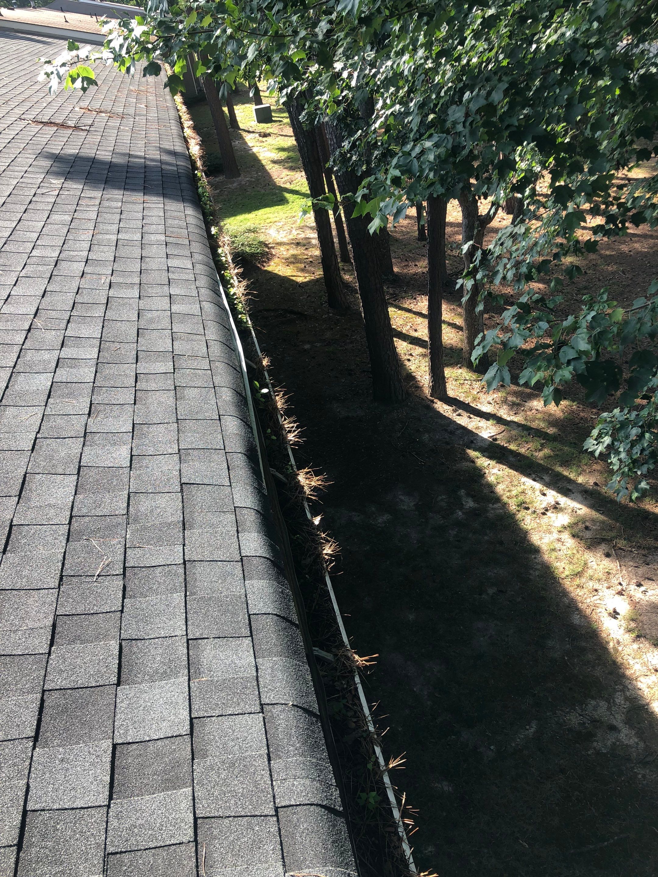 Commercial gutter cleaning Richmond before photo with filled gutters