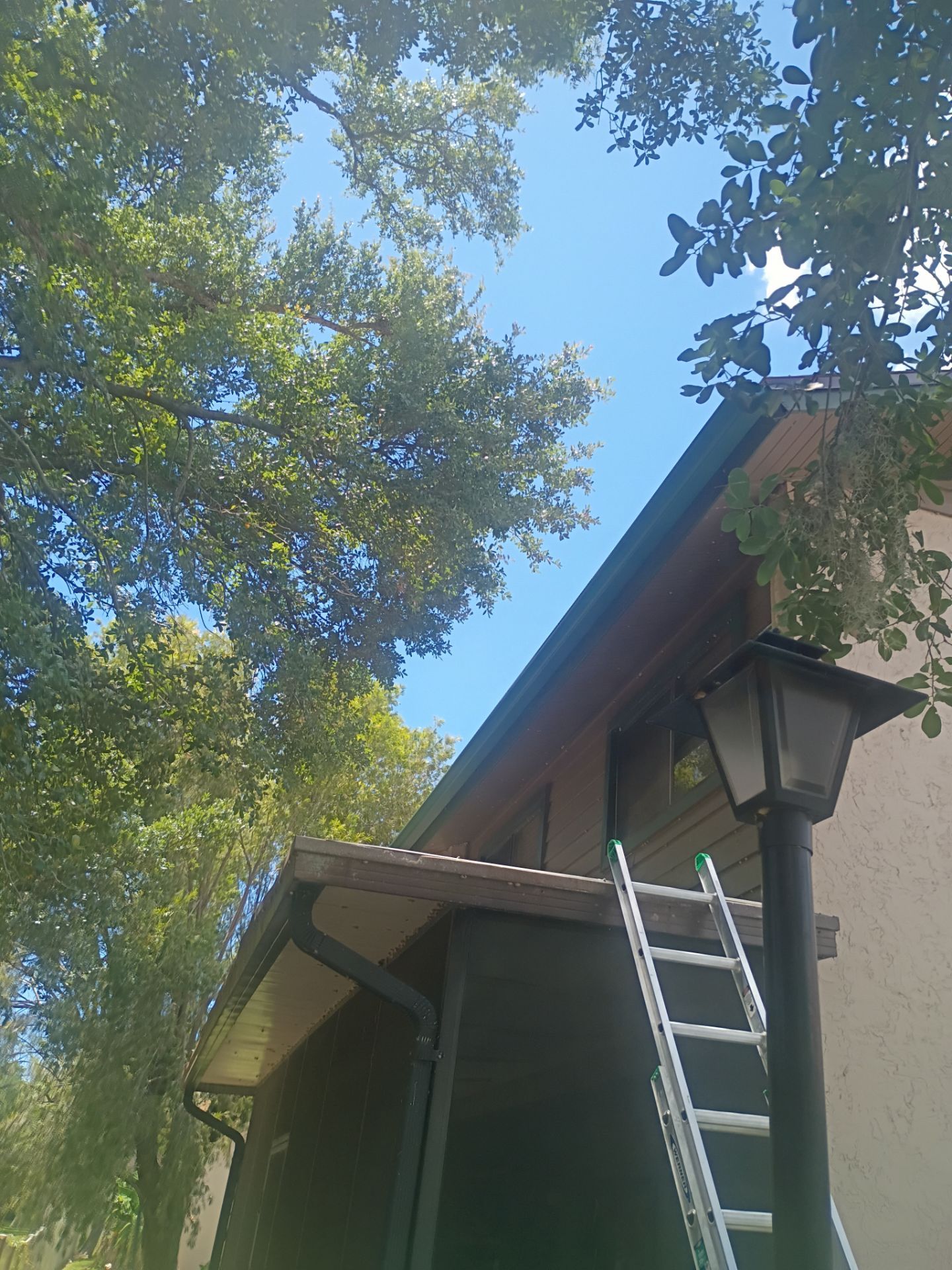 Leaf Guard using Gutter Guards & 3X4Downspoutsts in Sarasota FL by Gutter Professors