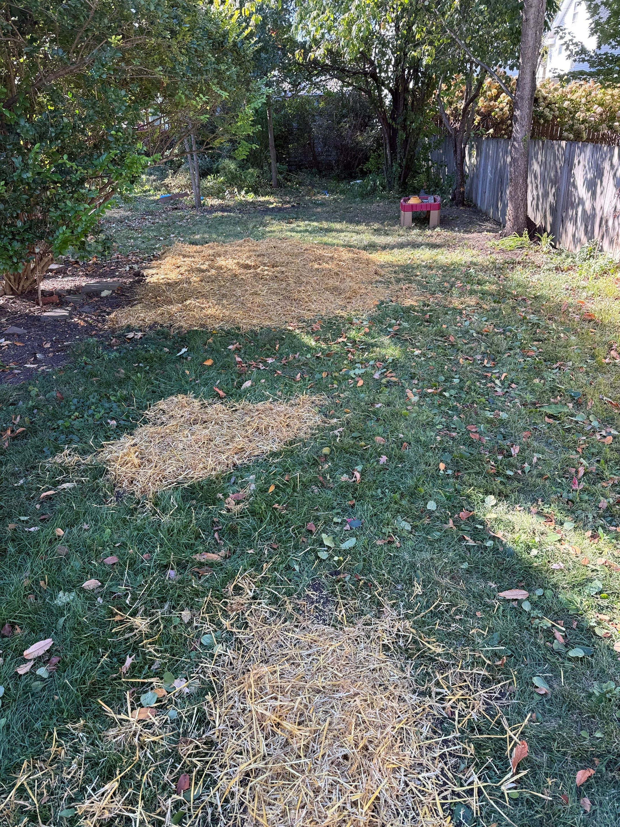 Cottage Maintenance by Elm Rose Gardens