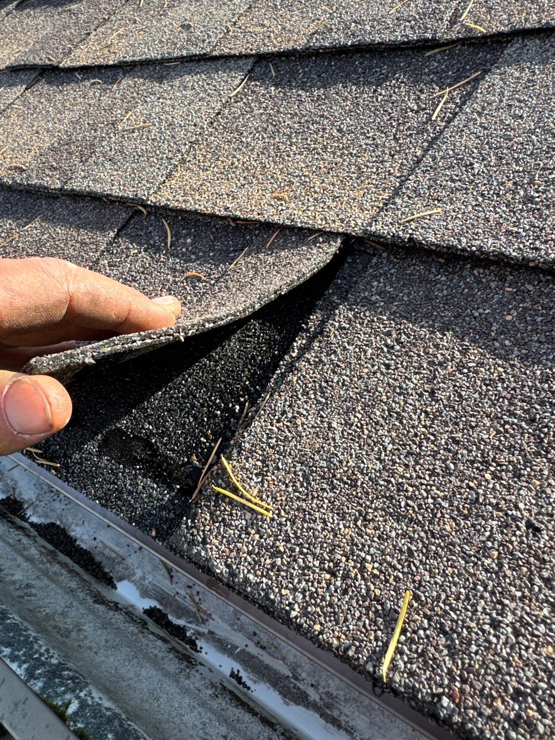 Residential Reroof Shingle - Barkwood by Top Notch Roofing Inc