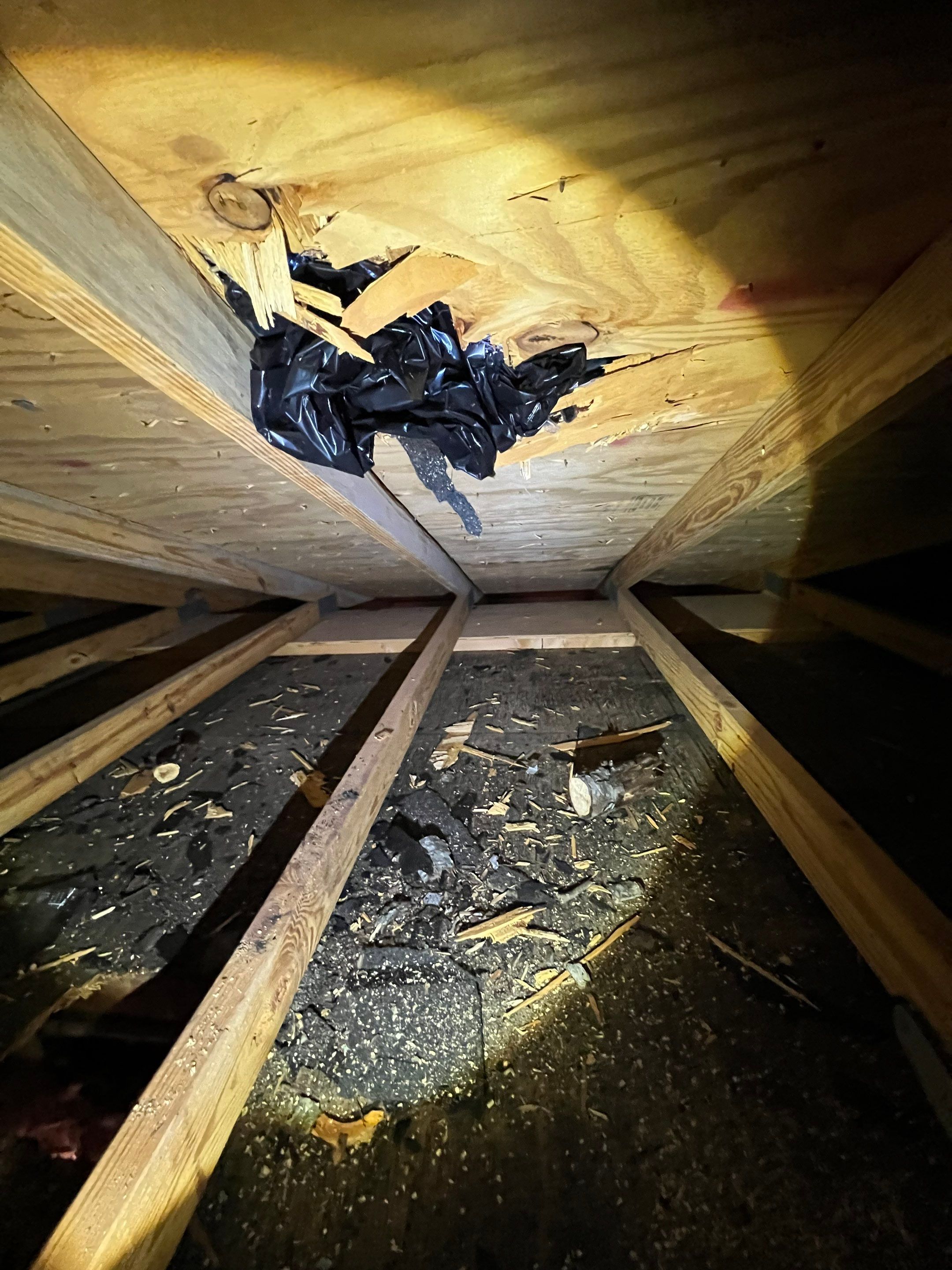 Manassas: CertainTeed Landmark Designer Shingles in Charcoal Black by RM Banning, Inc.