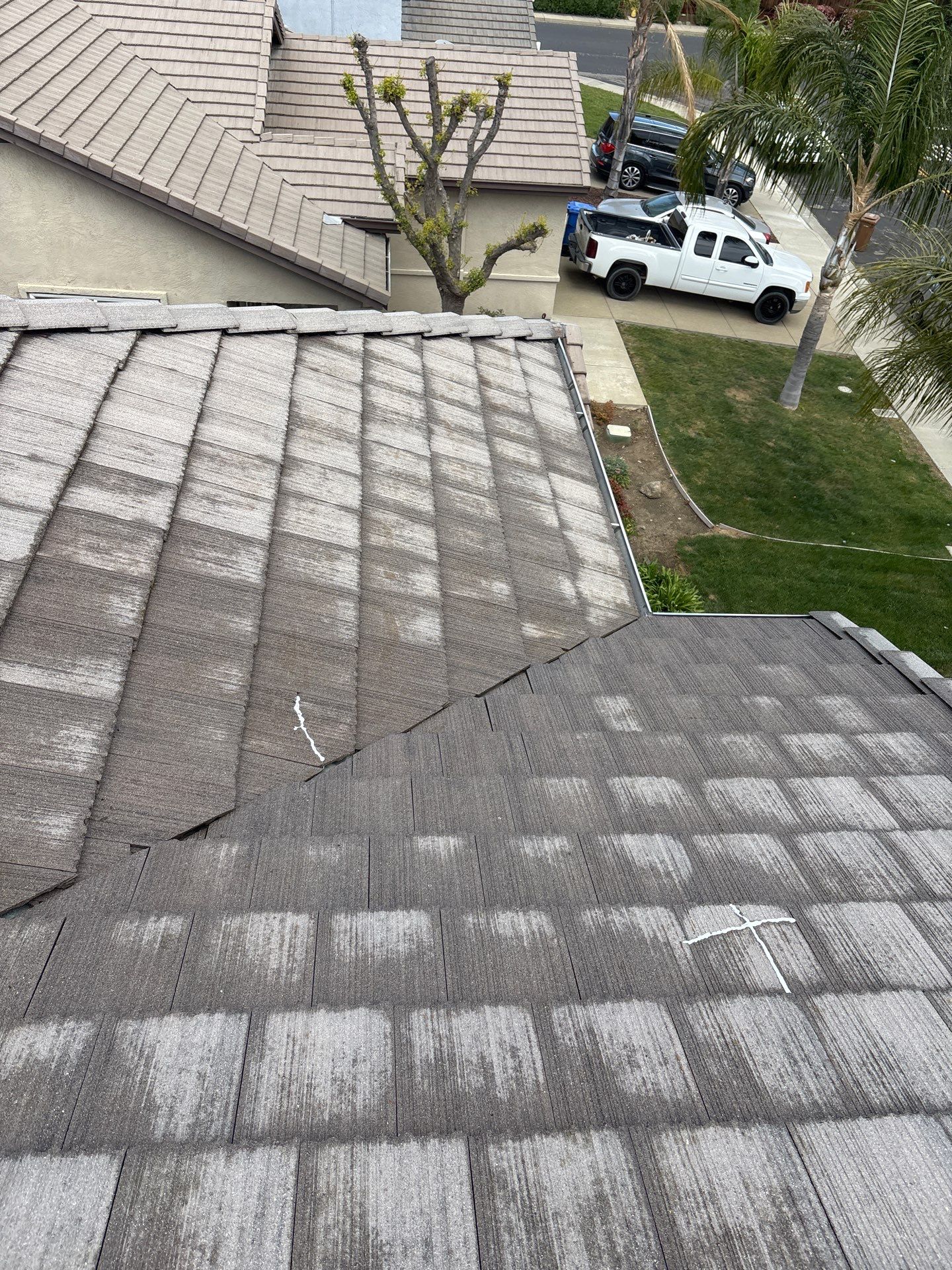 Moss Removal by Top Elevation