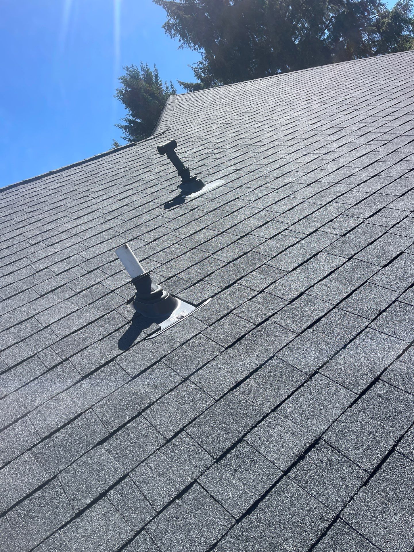 Residential Reroof with Architectural Shingles and Skylights in Coos Bay by BEST Roofing & Waterproofing
