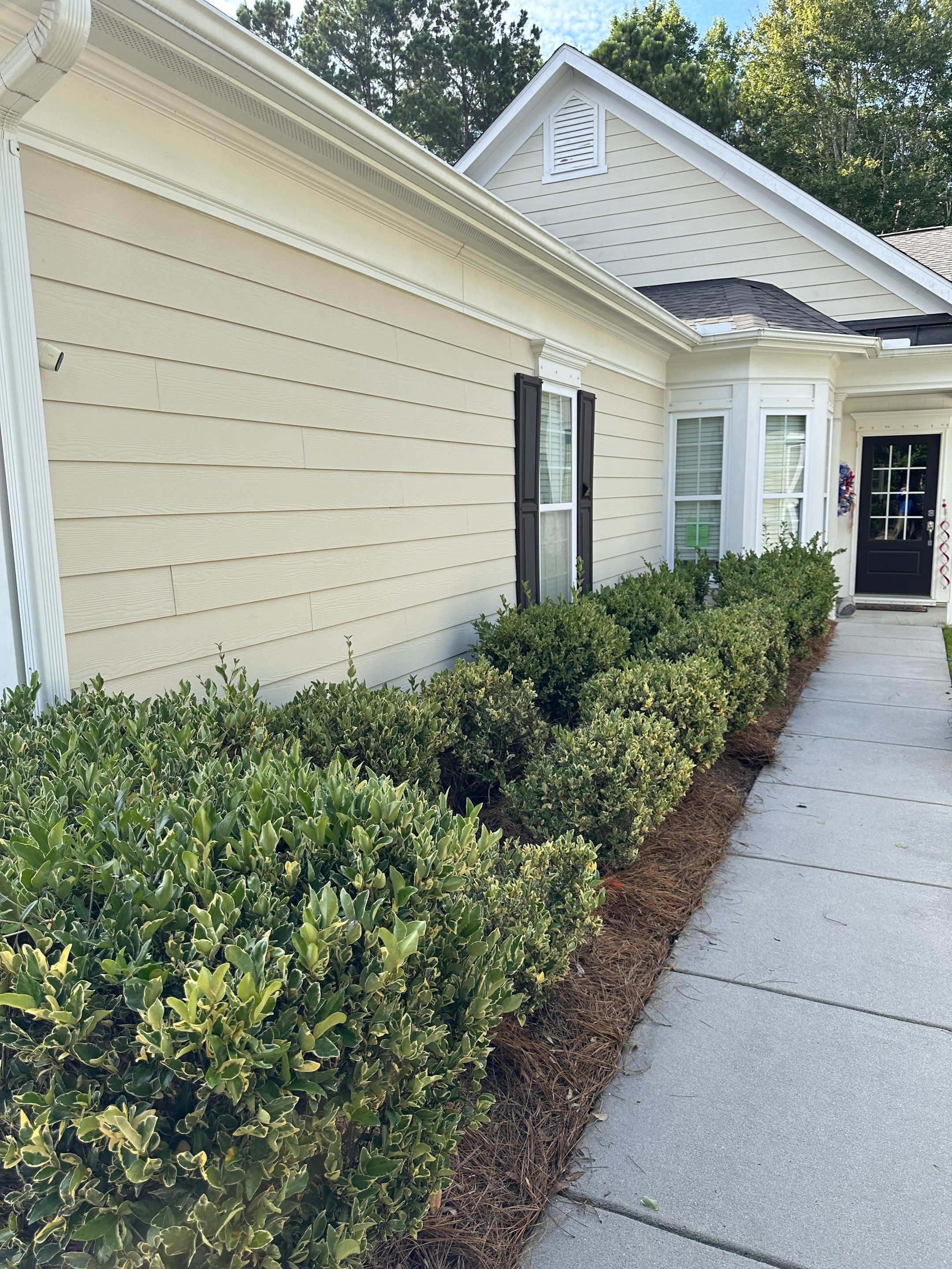 Residential Landscaping and Irrigation System Installation in Bluffton by Lowcountry Scapes, LLC