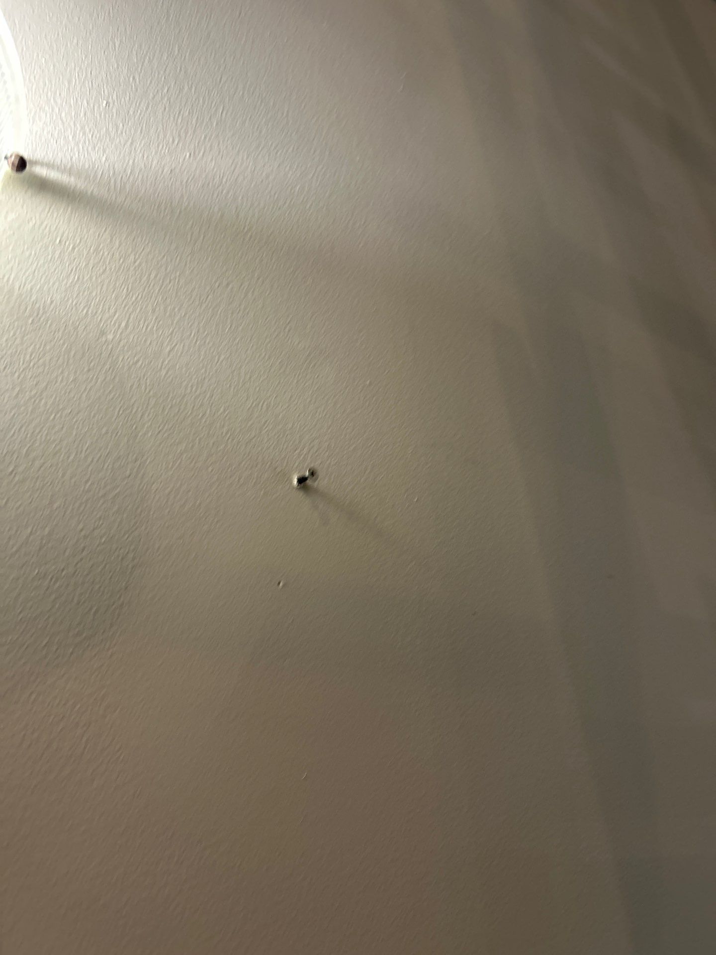 Commercial Interior Painting in Gainesville, MD by My Painter 