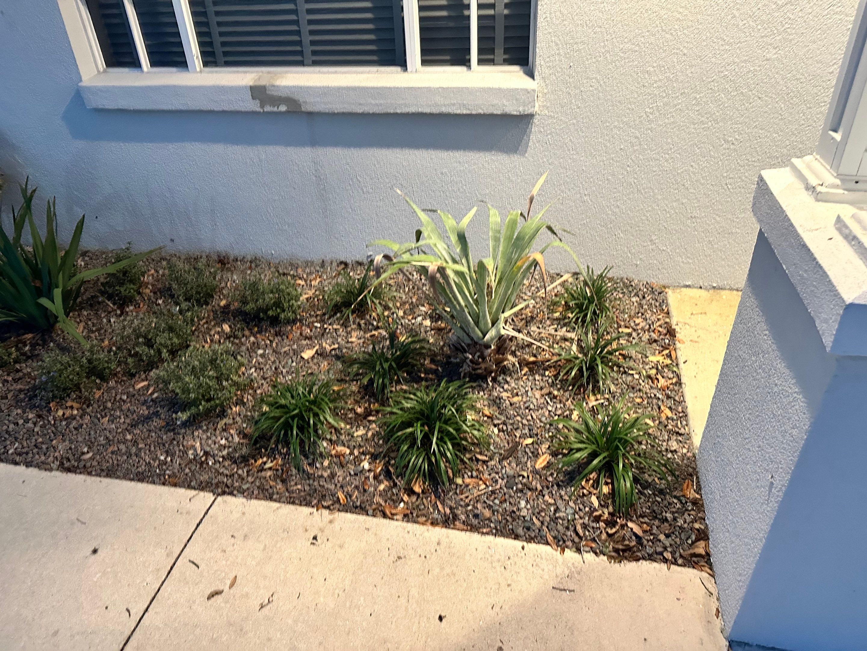 Gutter Repair and Resealing in Sarasota FL by Gutter Professors
