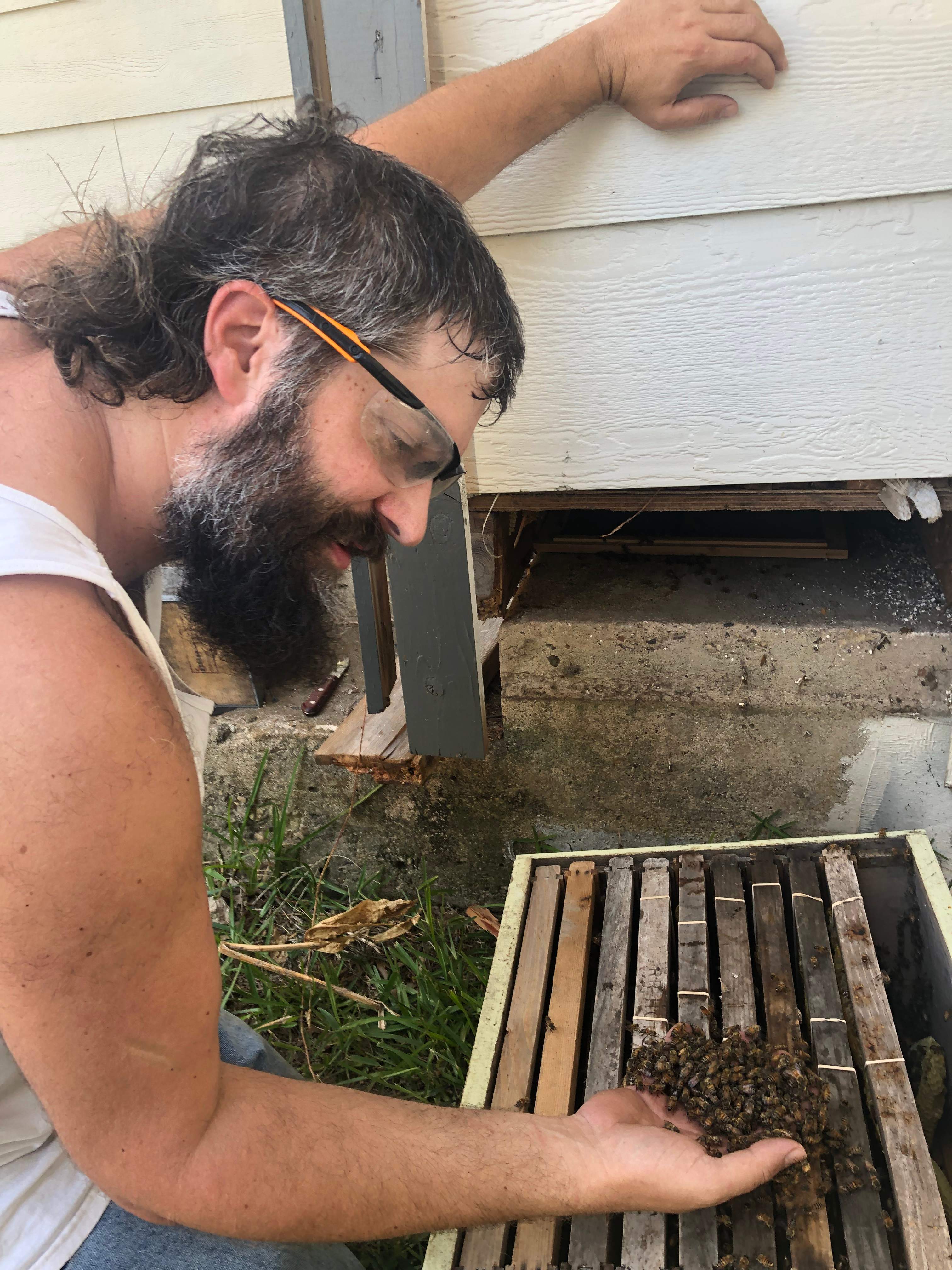 Bees Handled by Rockwall Honey Bee Company