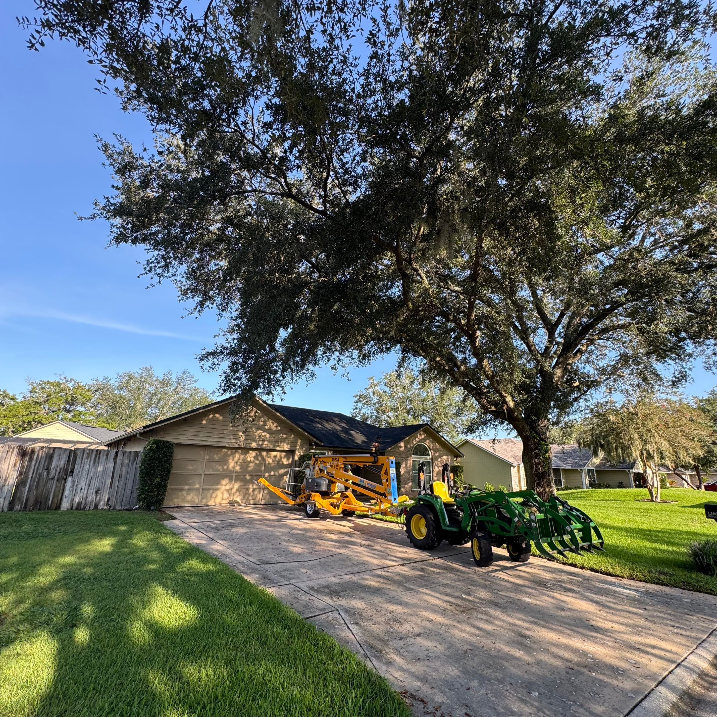 Residential | Tree Trimming  by ProGreen Services